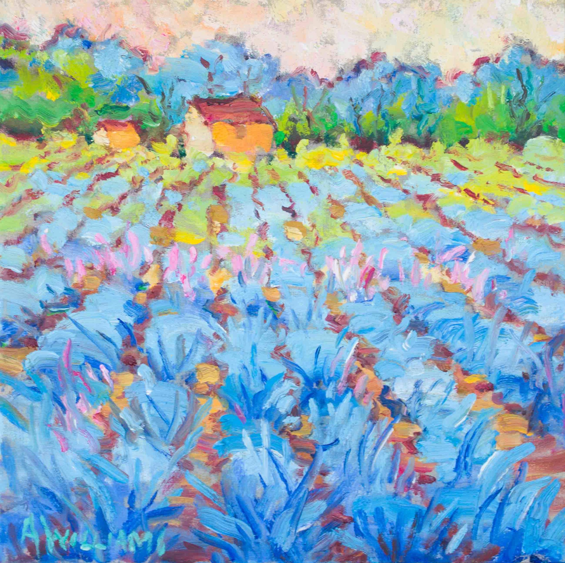 Provence Signature by Alice Williams