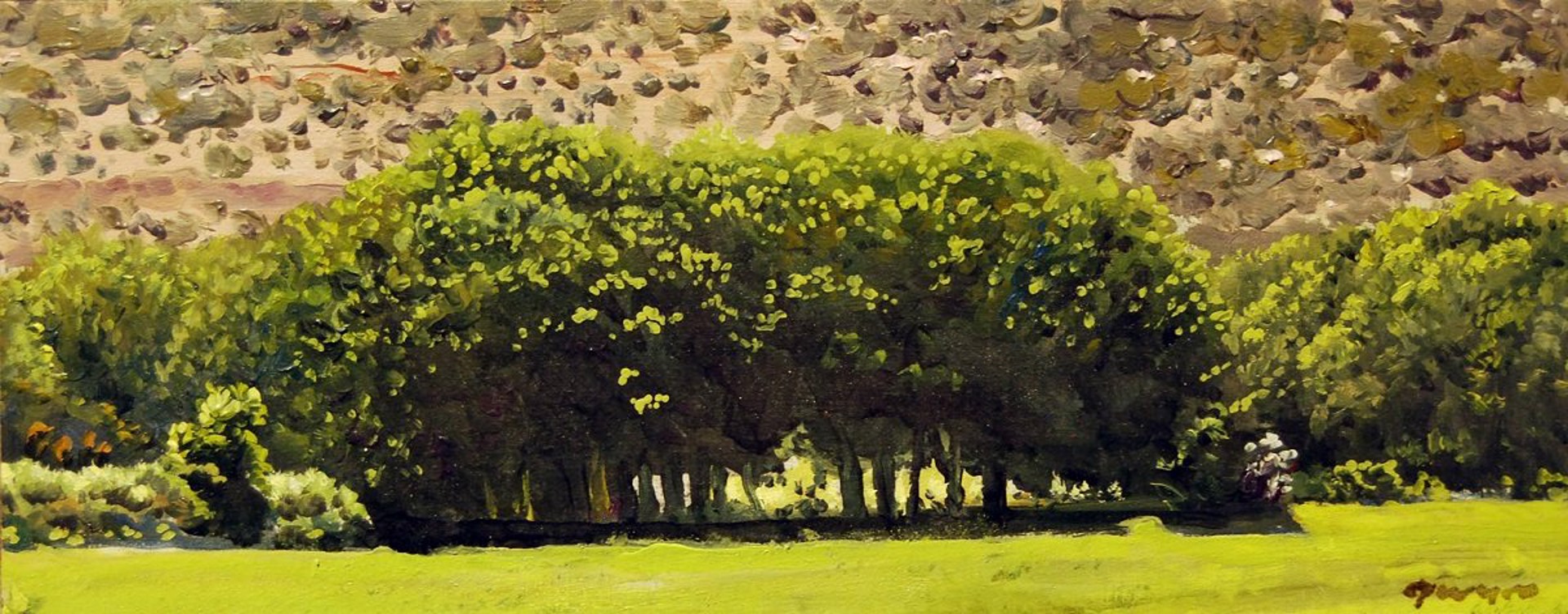 Villanueva Trees by Woody Gwyn