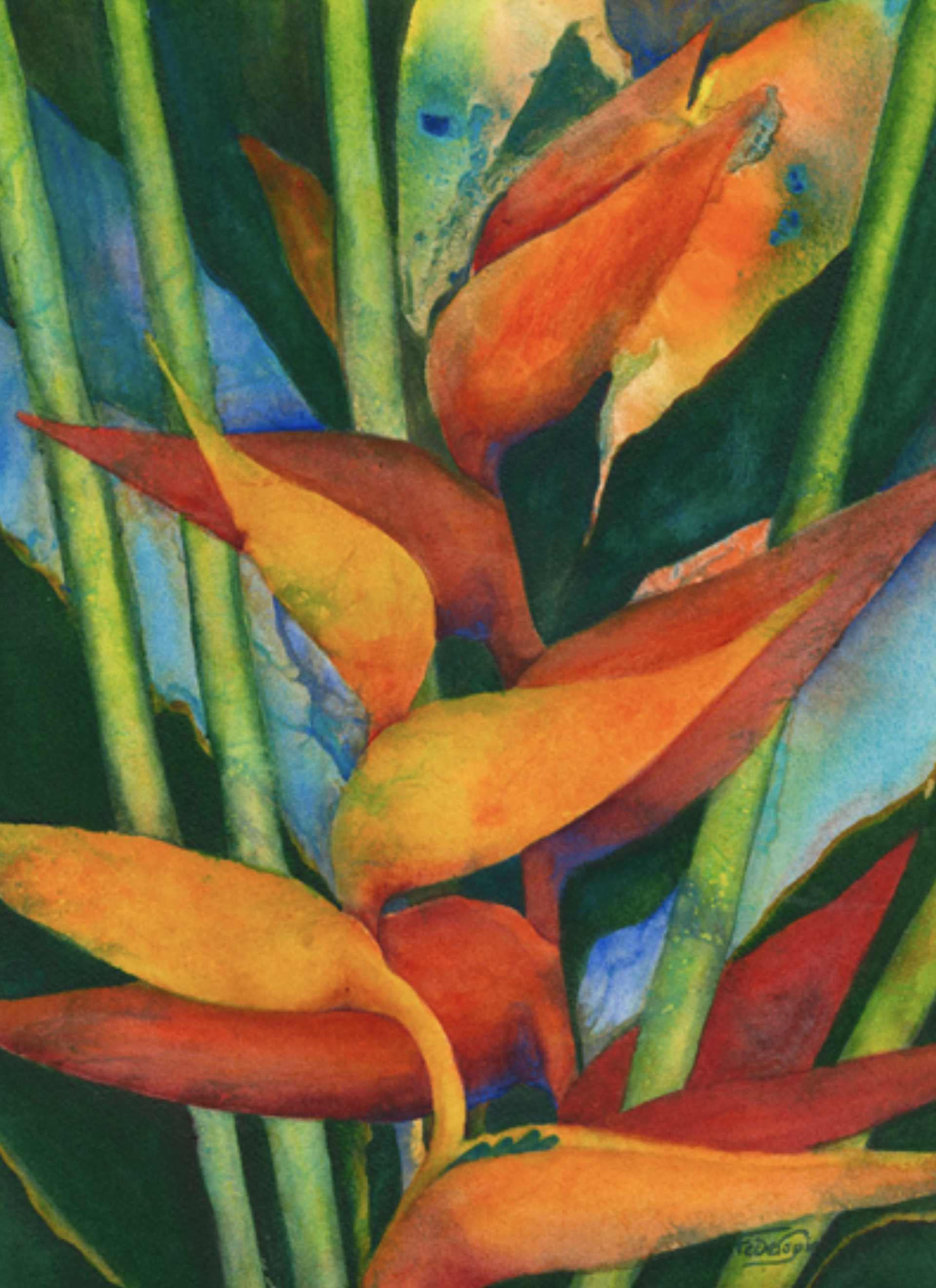 Heliconia Dreaming by Patrice Ann Federspiel