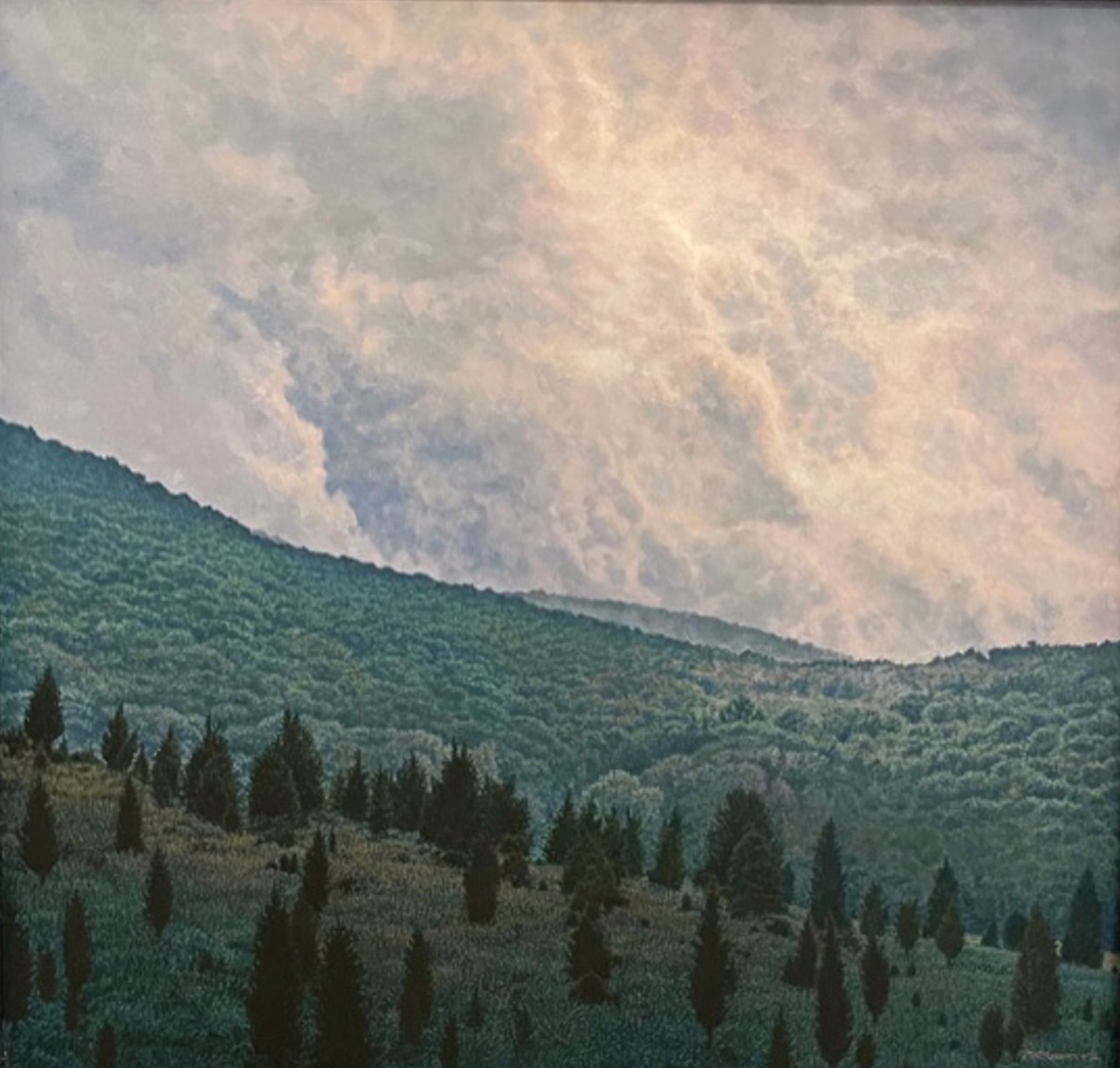 Cedars in the Storm by Peter Krobath