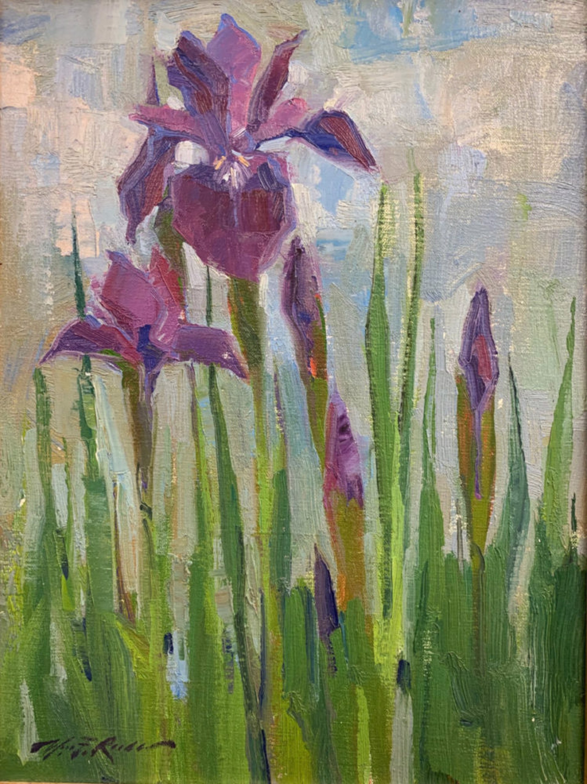 Fran’s Irises by William F. Reese