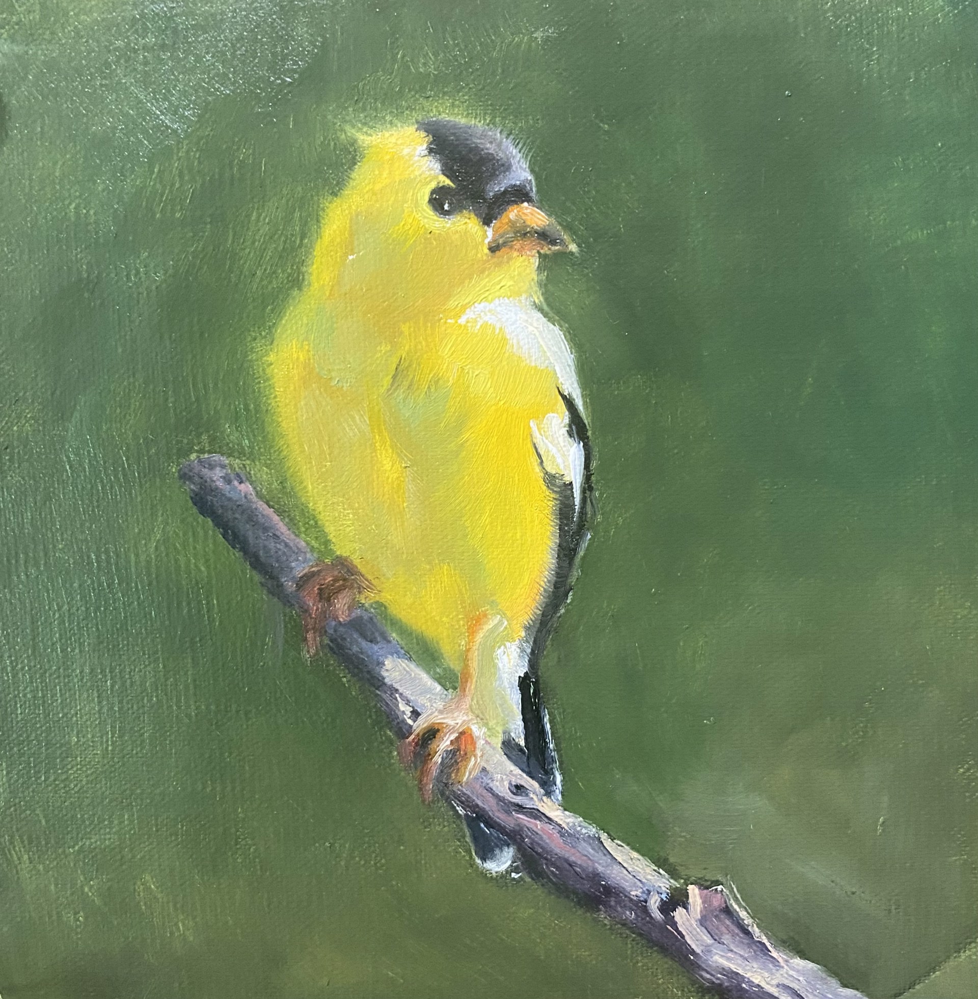 Yellow Fellow by Susan Wellington