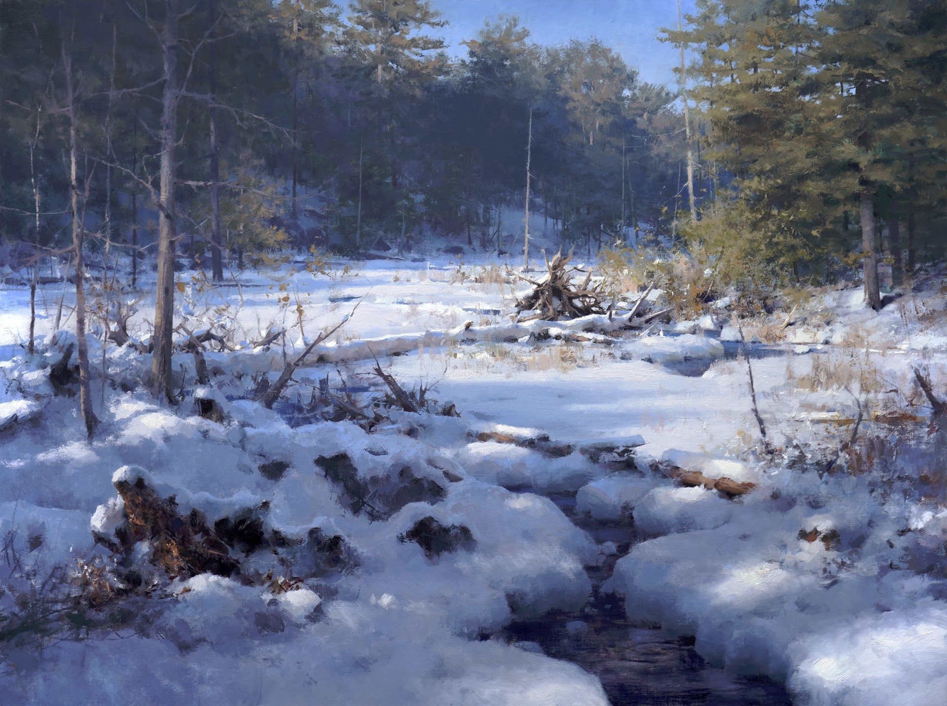 Fresh Blanket of Snow by Mark Boedges