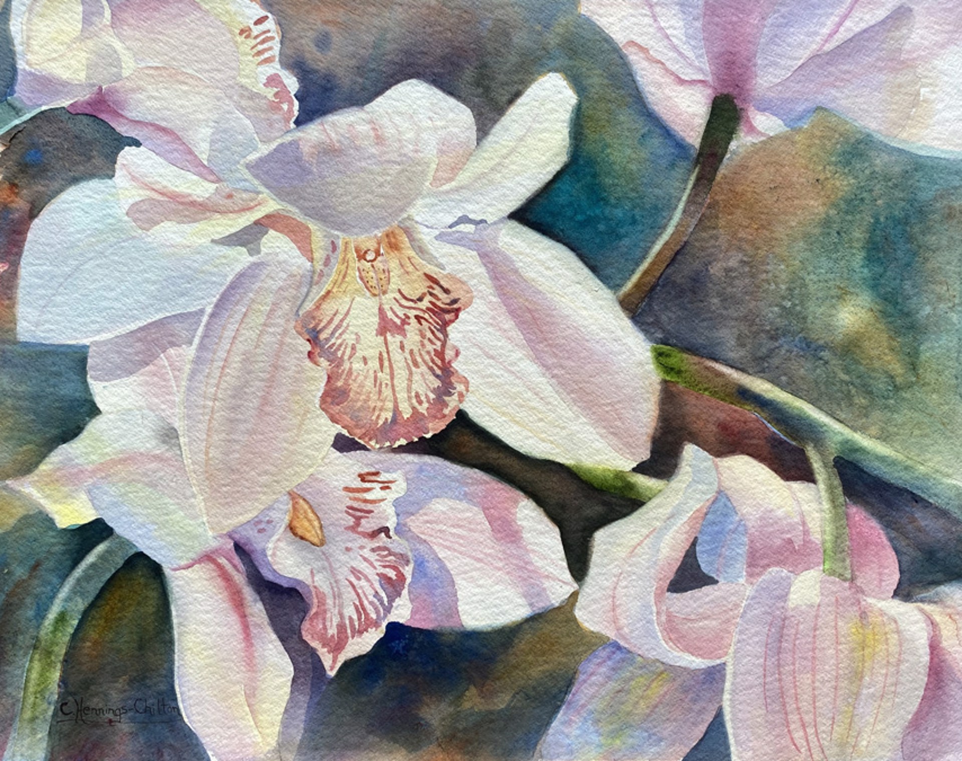 Orchid Light by Connie Hennings-Chilton