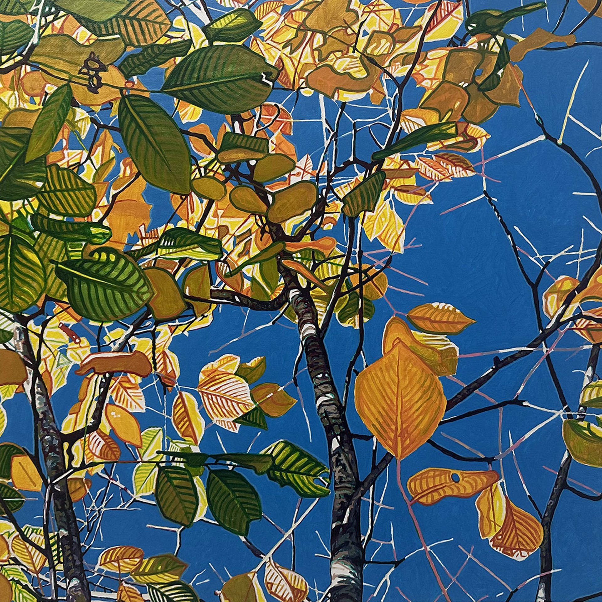 Foliage No. 1 by Christopher O'Connor
