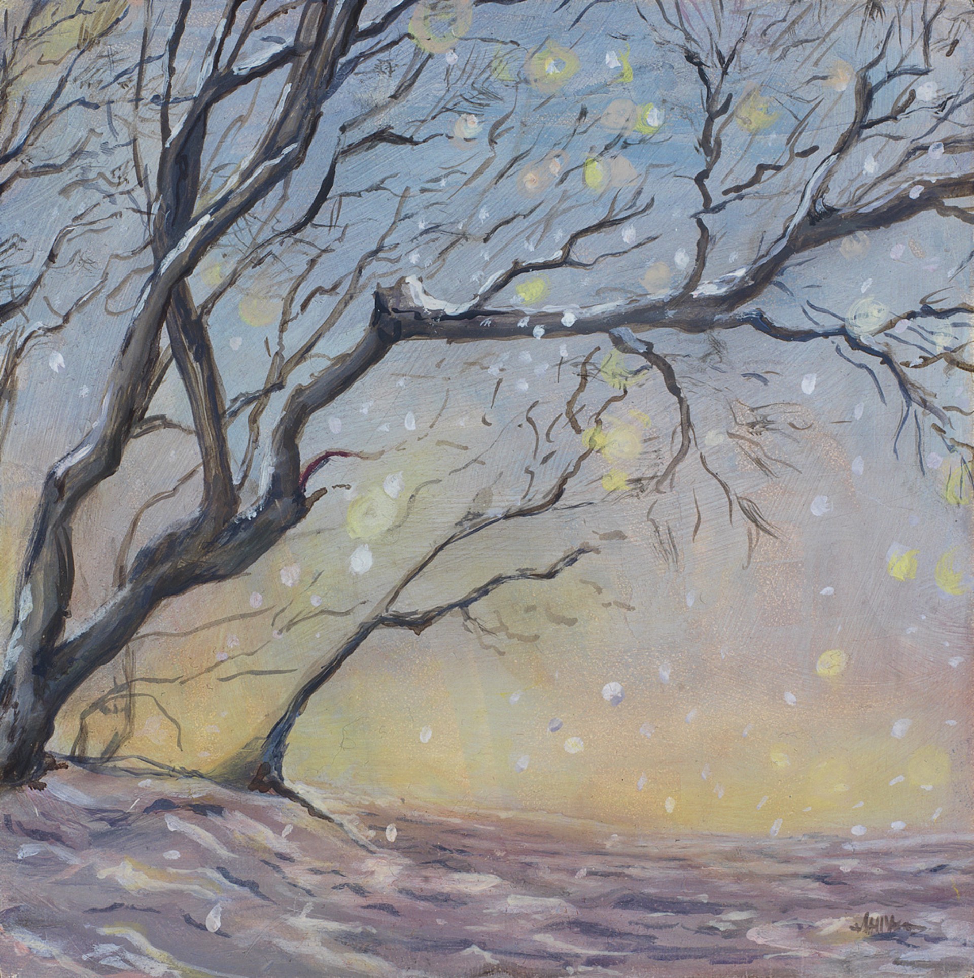 Winter Light by Sarah Means