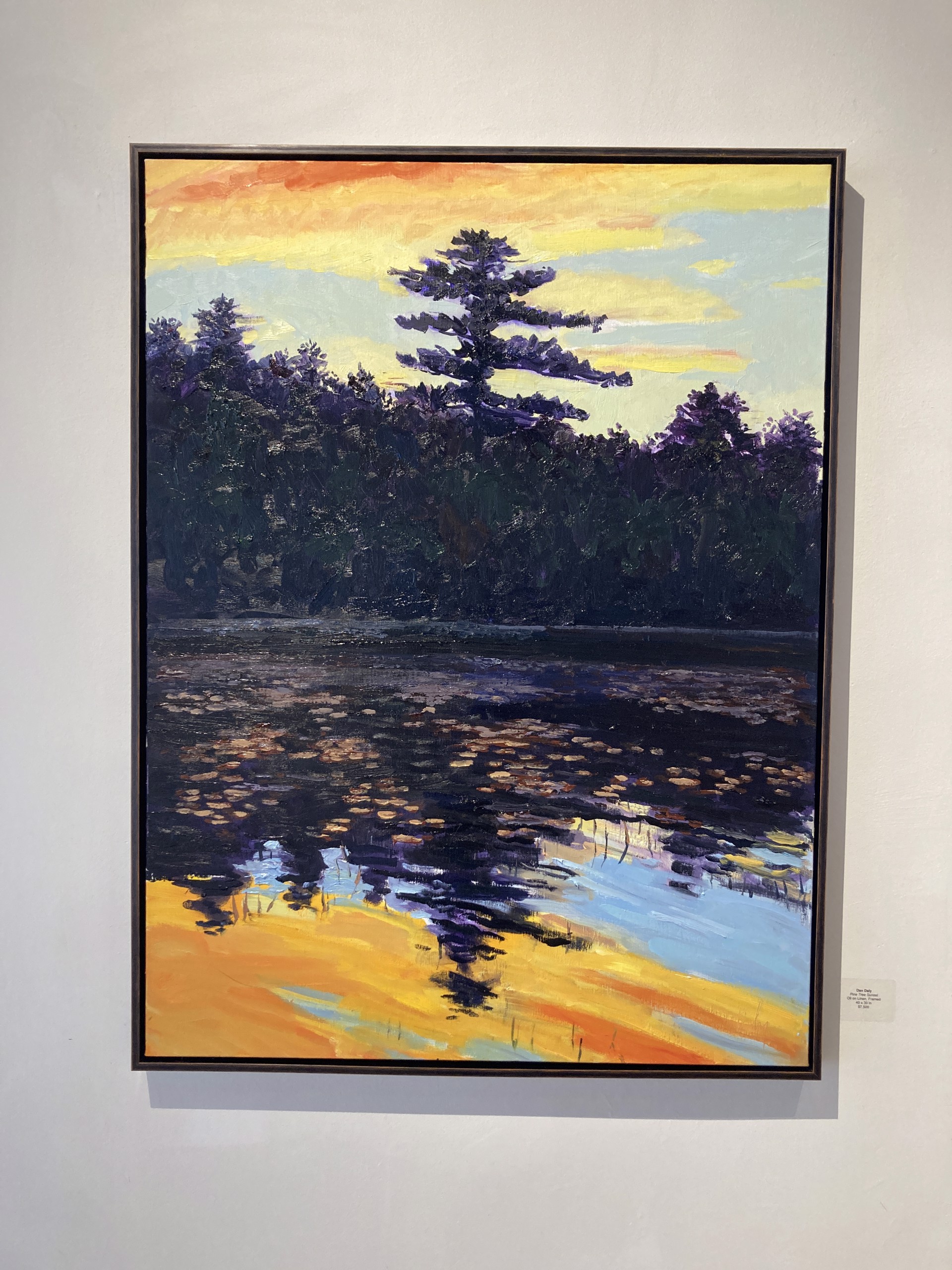 Pine Tree Sunset by Dan Daly