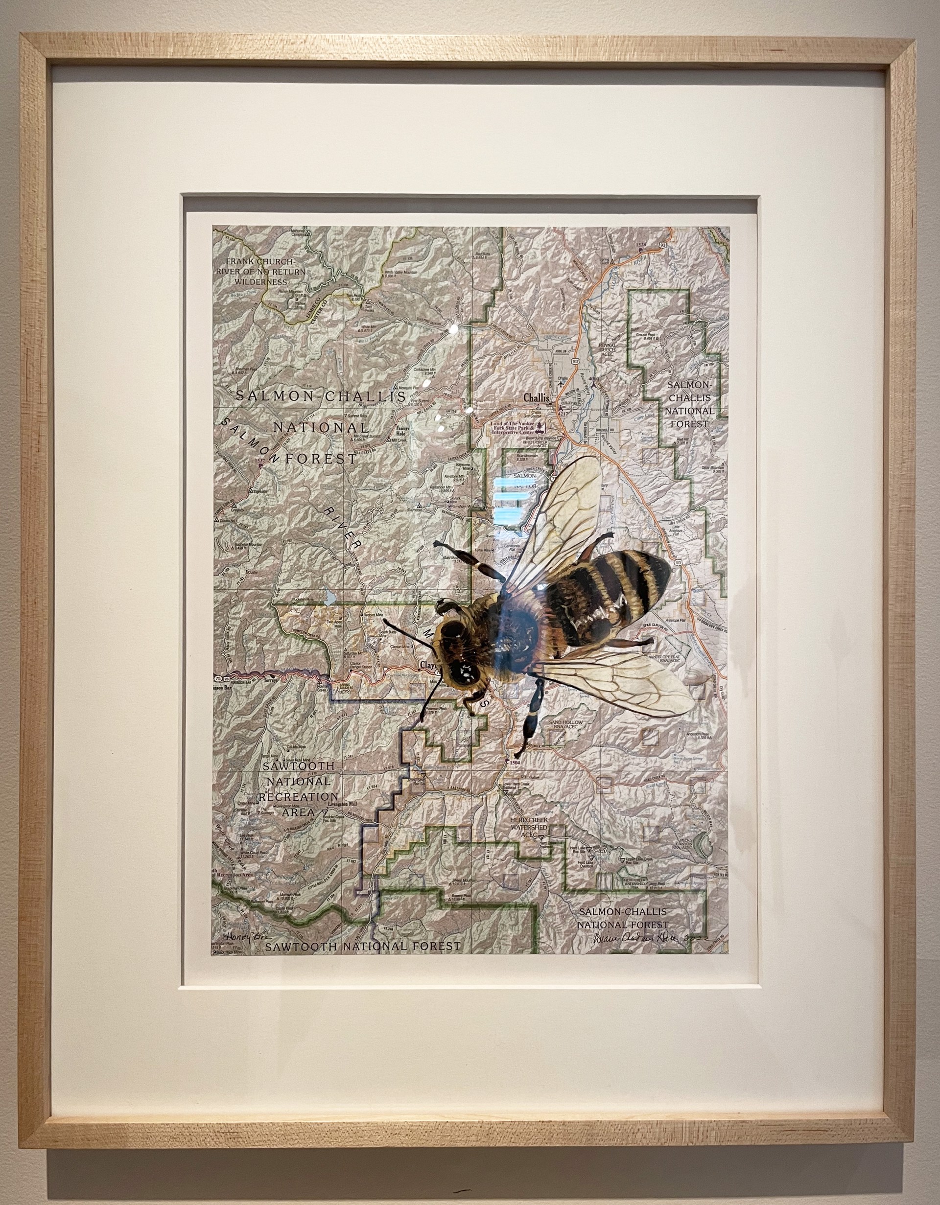 Honey Bee on Map by Diane Andrews Hall