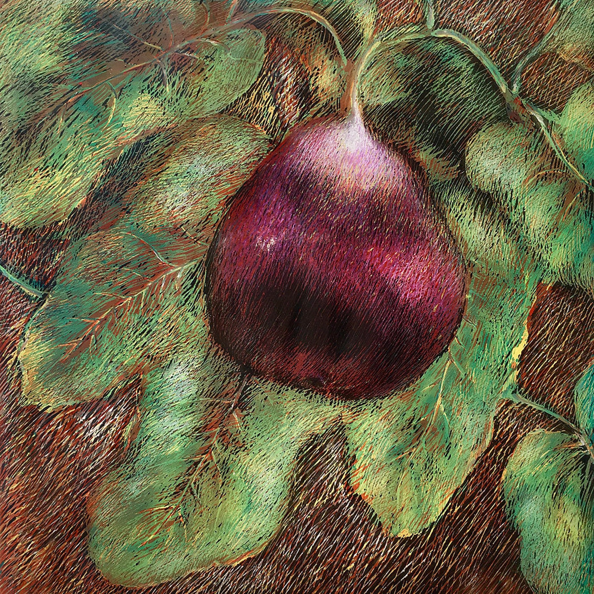 Luscious Fig by Kim Springer-Smith