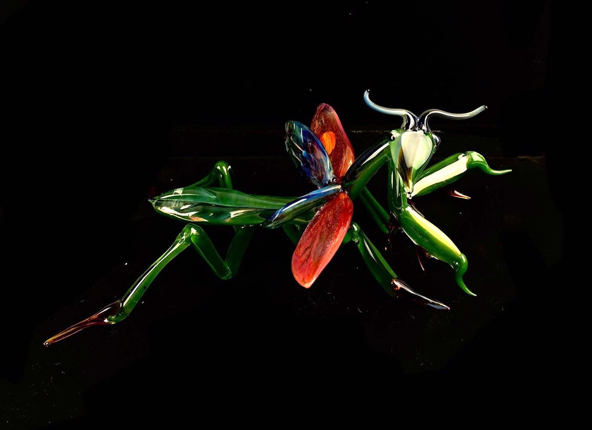 Large Mantis by Loy Allen