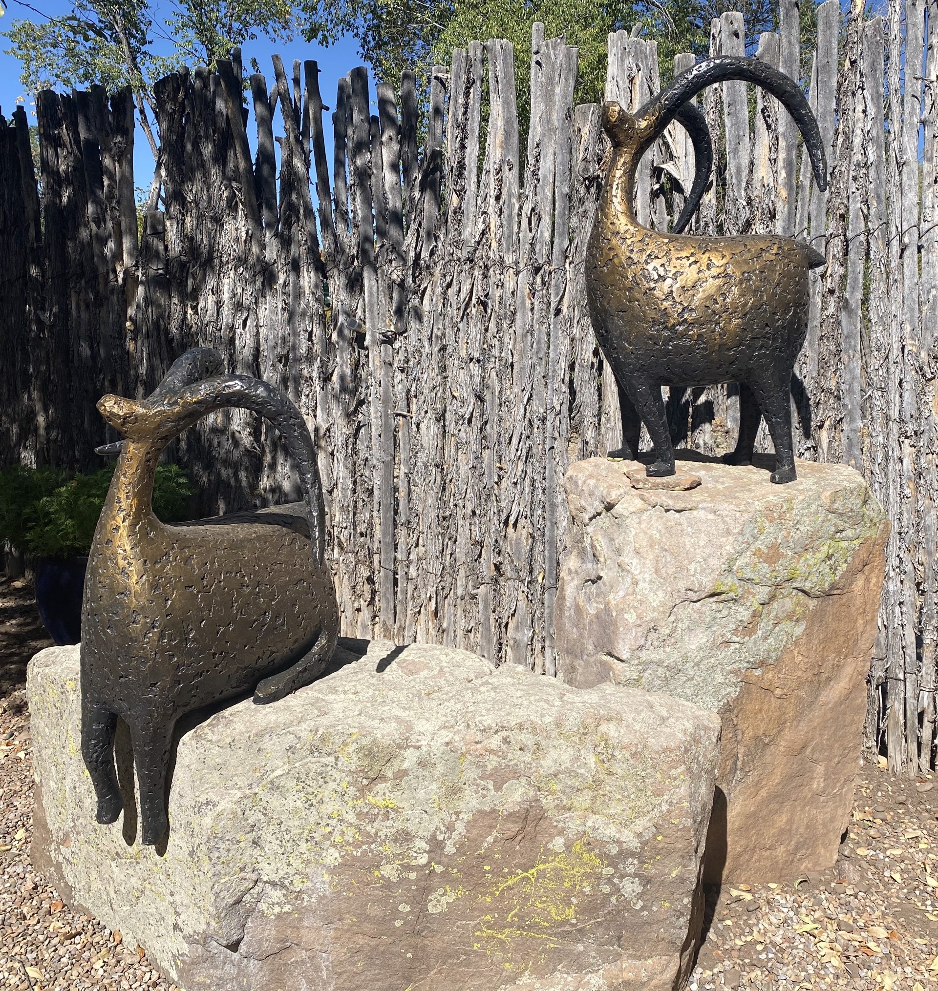 XL Standing and Seated Stargazers on Rock Pedestals - Standing 38"x19"x22" Bronze, $13,000...Seated 24"x24"x20" Bronze, $12,000...Rock Pedestals sold separately by Jill Shwaiko