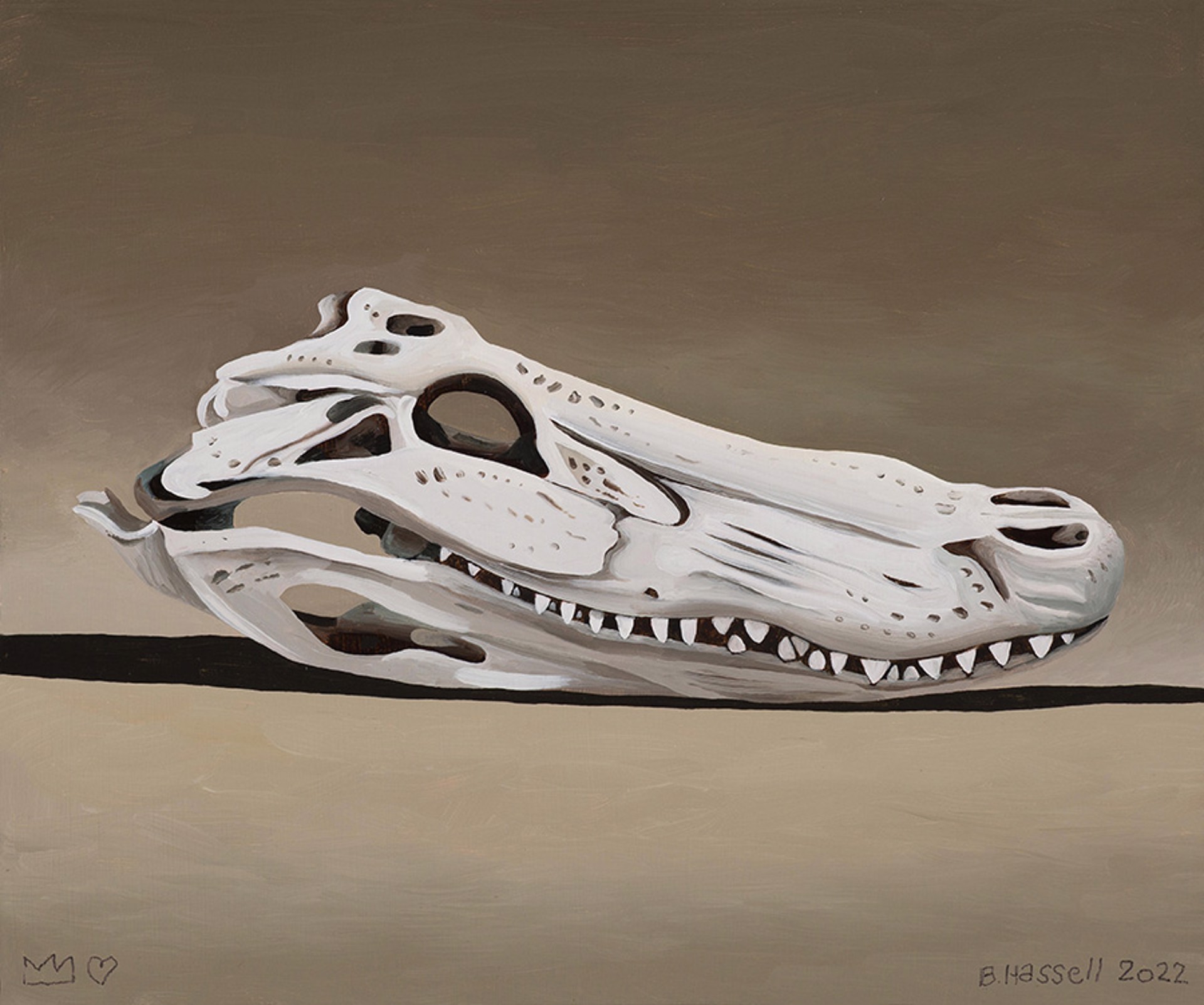 Alligator Skull by Billy Hassell