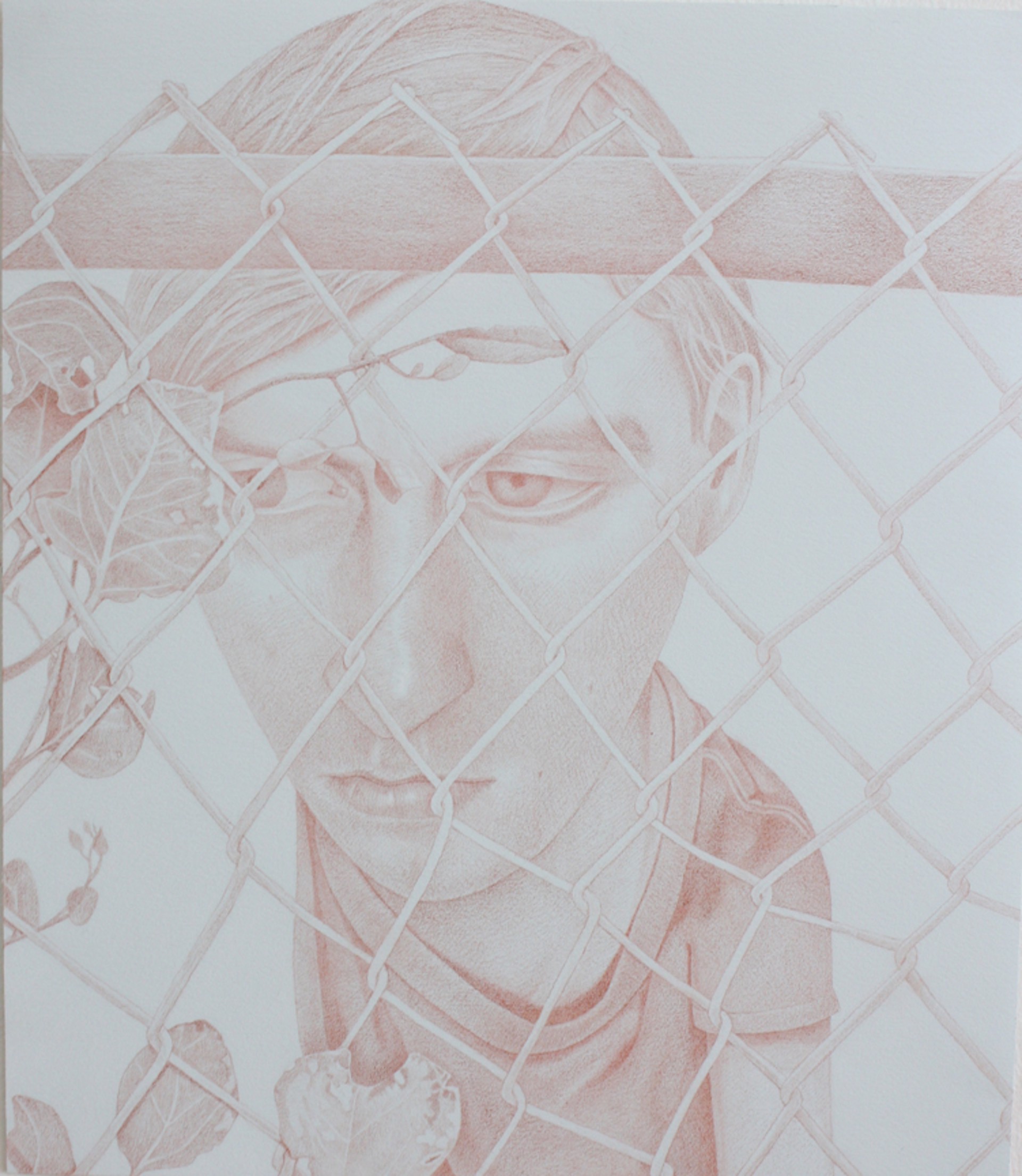 Fence by Travis Collinson