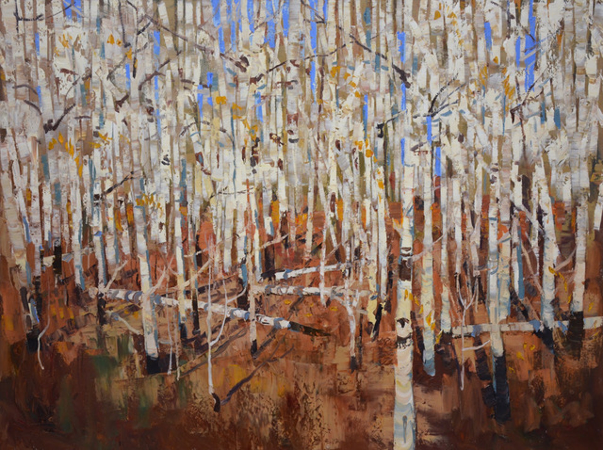 A Unique Oil Painting Of A Dense White Bark Aspen Tree Forest Without Leaves And Blue Sky Behind, By Silas Thompson