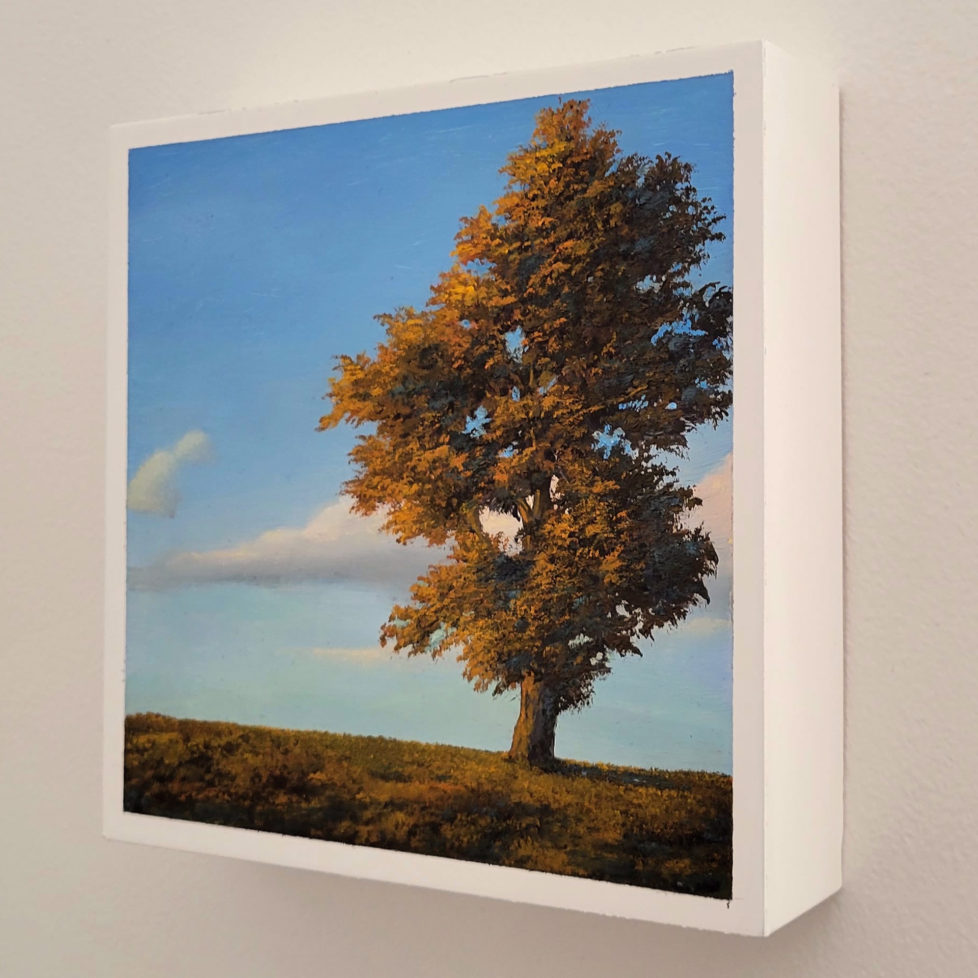 One Tree by Greg Skol