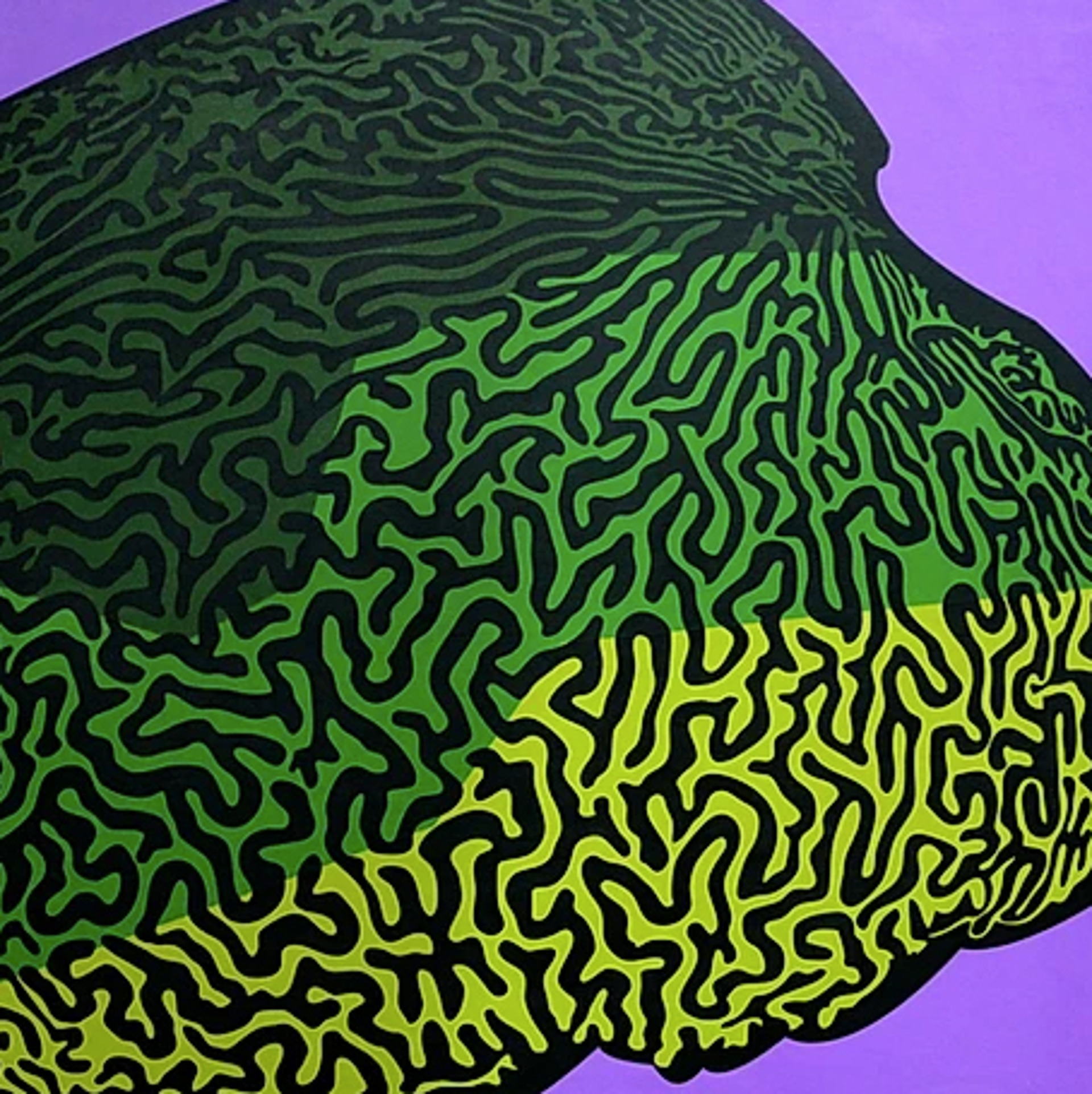 Brain Coral by Eric Ockrassa