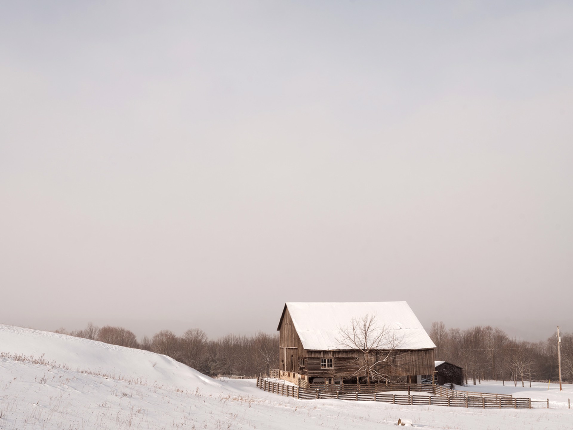 Scenes of winter #4 by Peter McLennan