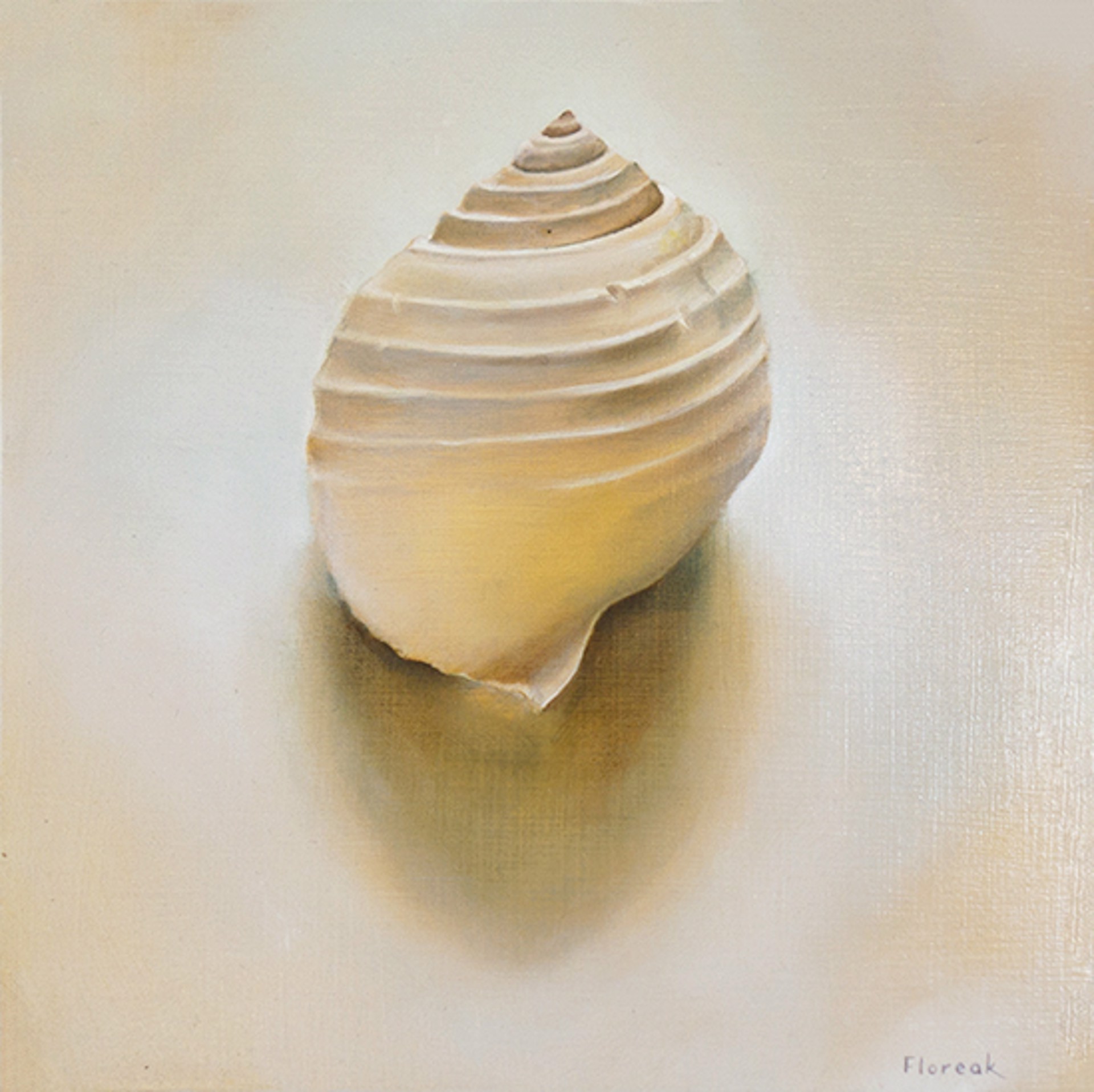 White Shell by Ida Floreak