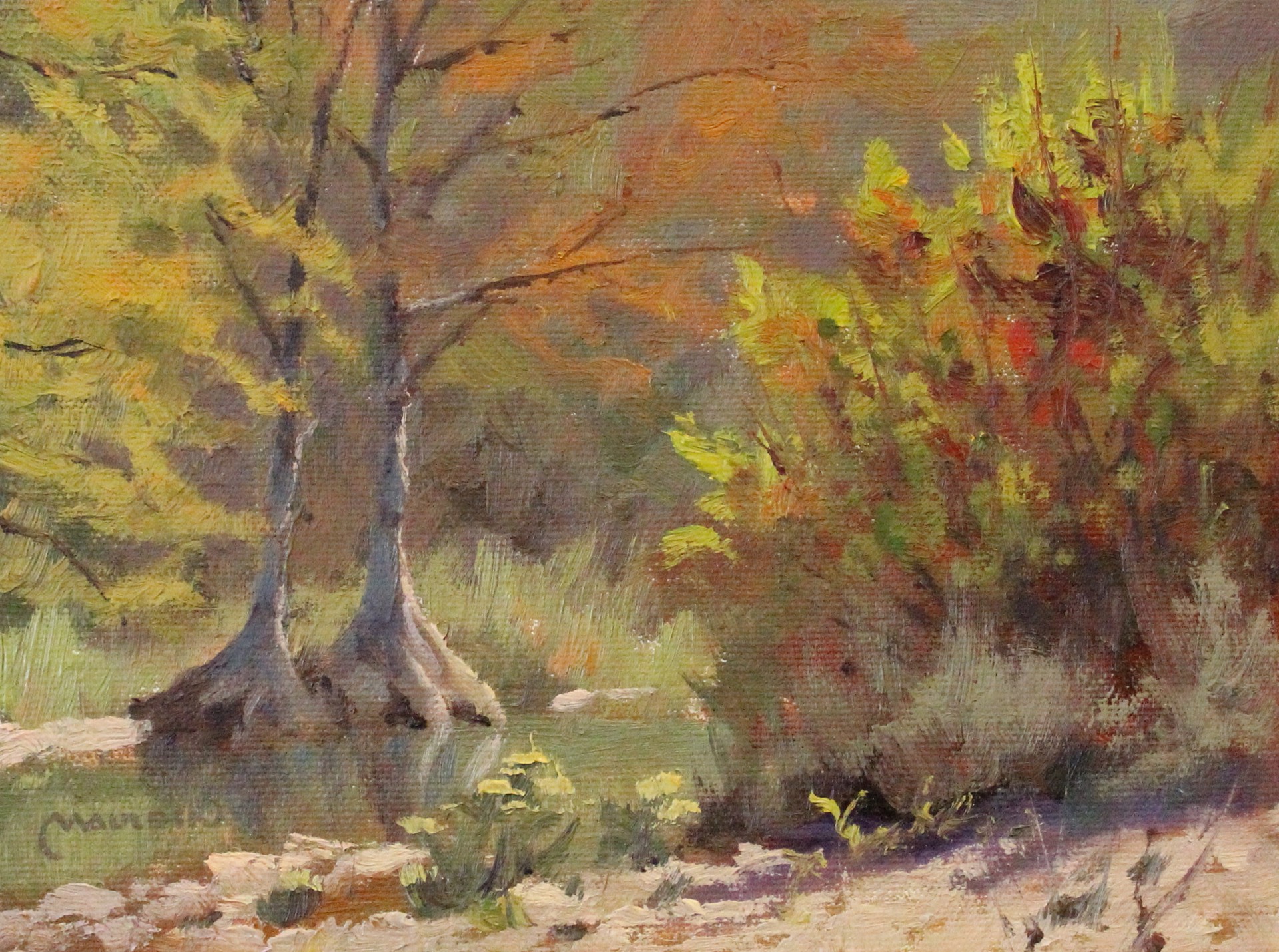 Frio Cypress by Chuck Mauldin