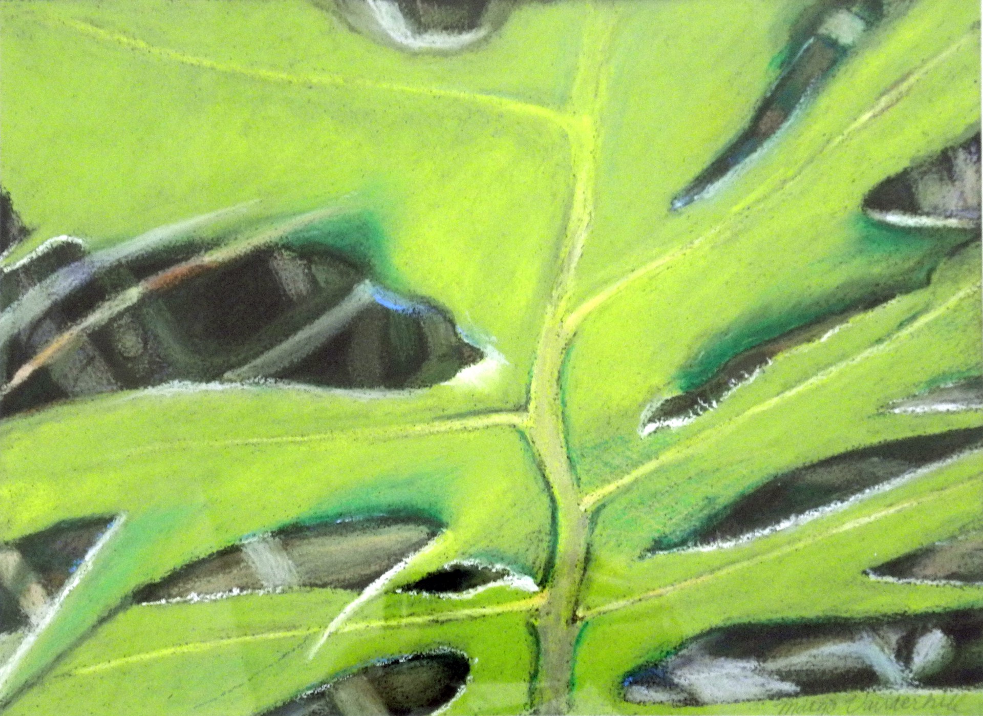 Compass Leaf by Margo Vanderhill