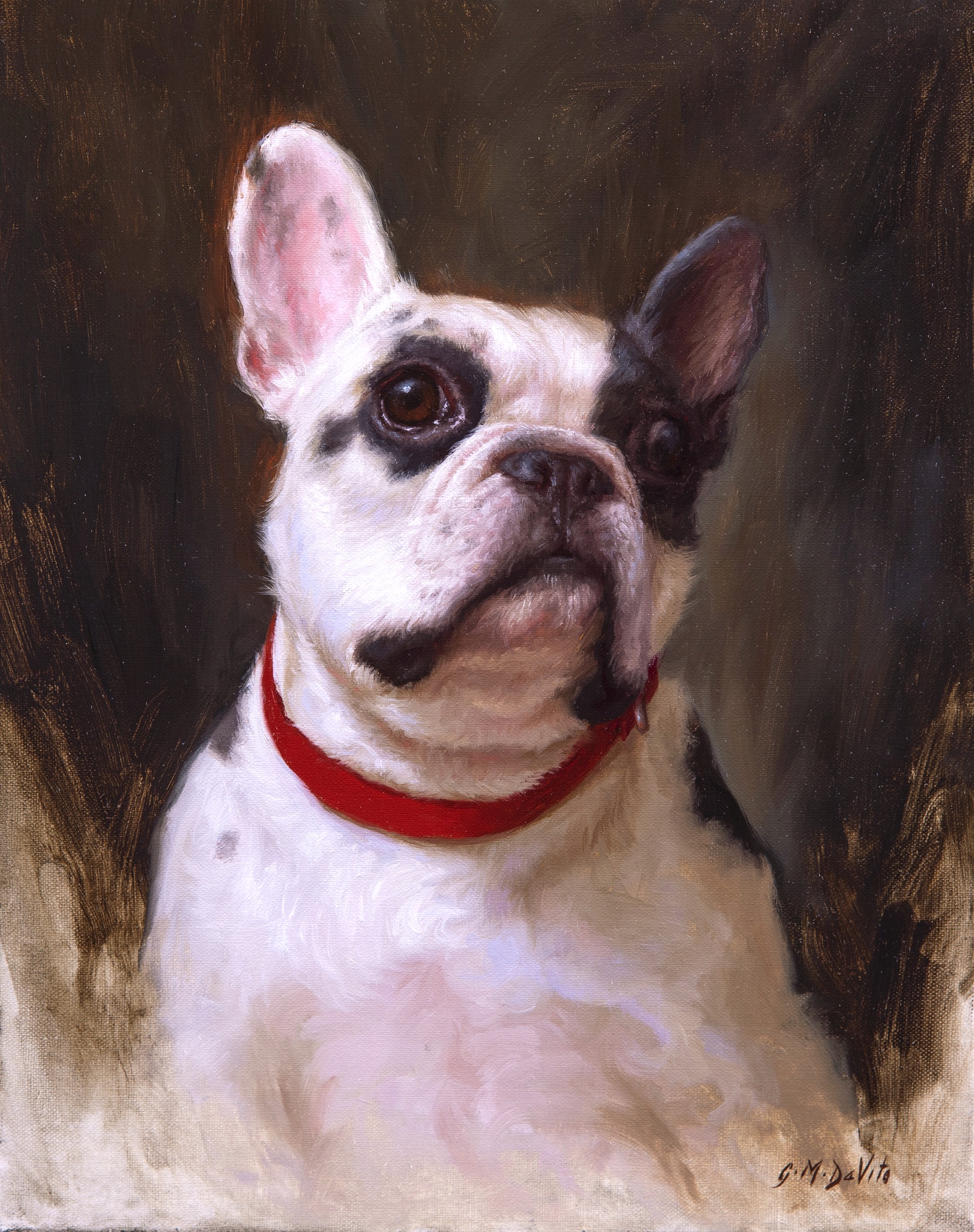 French Bulldog by Grace DeVito