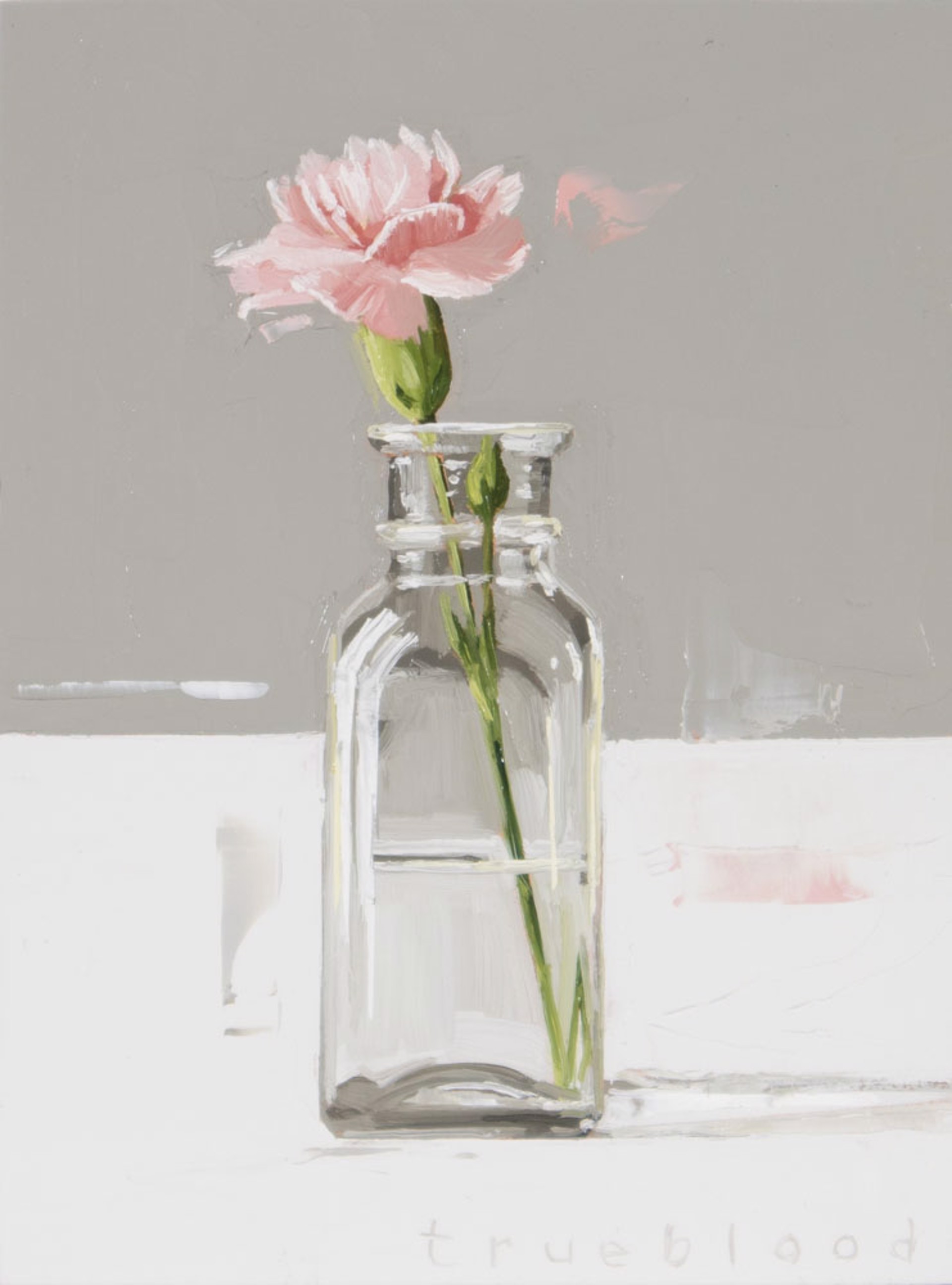 Pink Carnation by Megan Trueblood