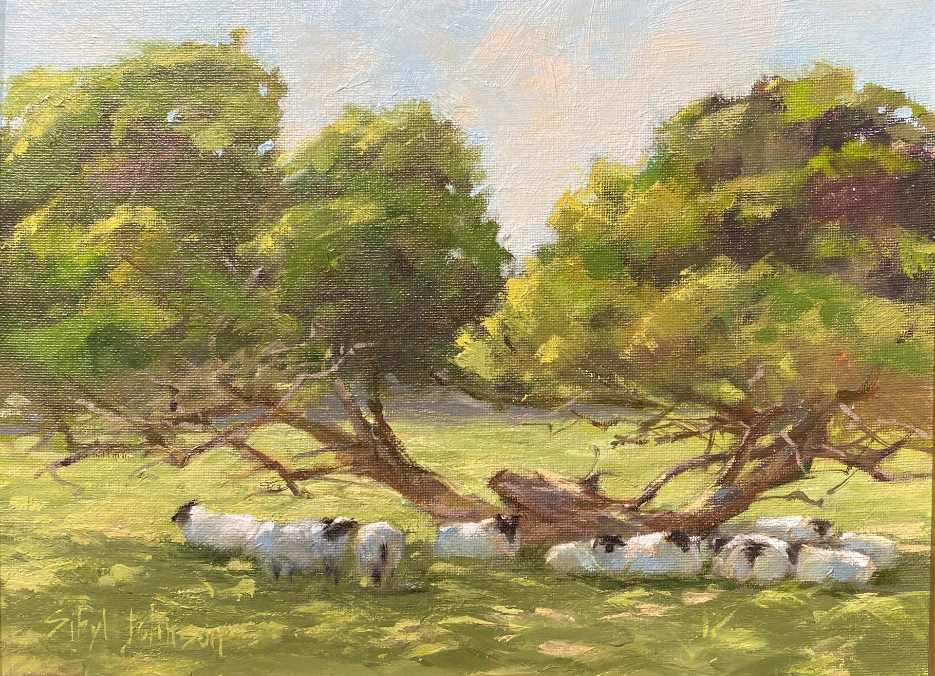 Counting Sheep by Sibyl Johnson