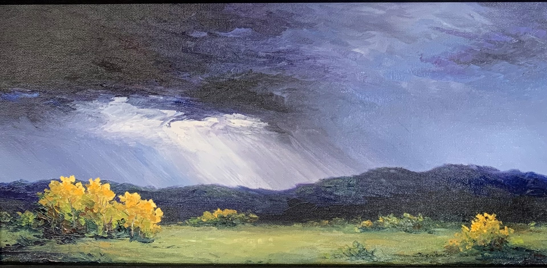 Passing Storm by Amy Everhart