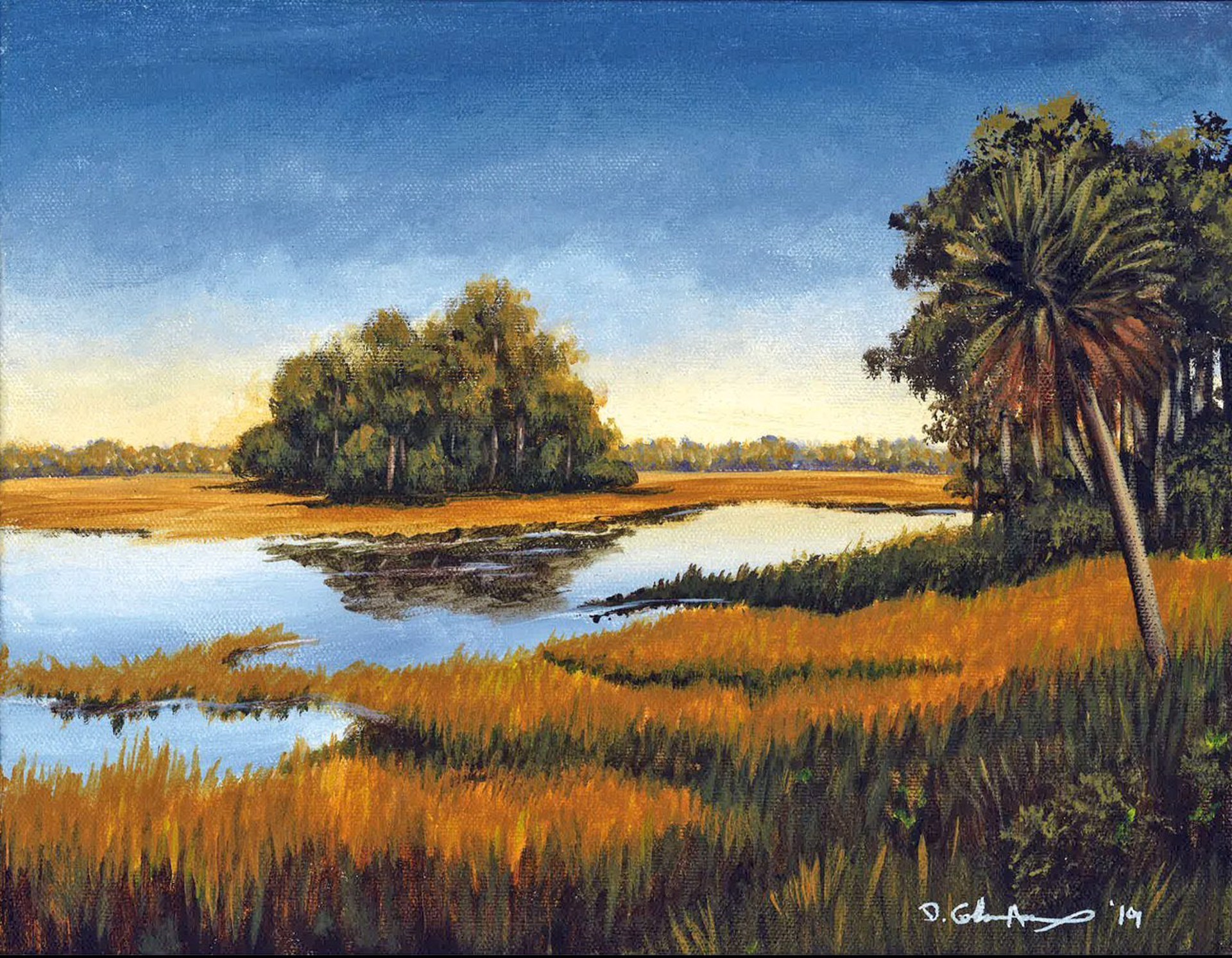 Low Country Island by Dana Coleman