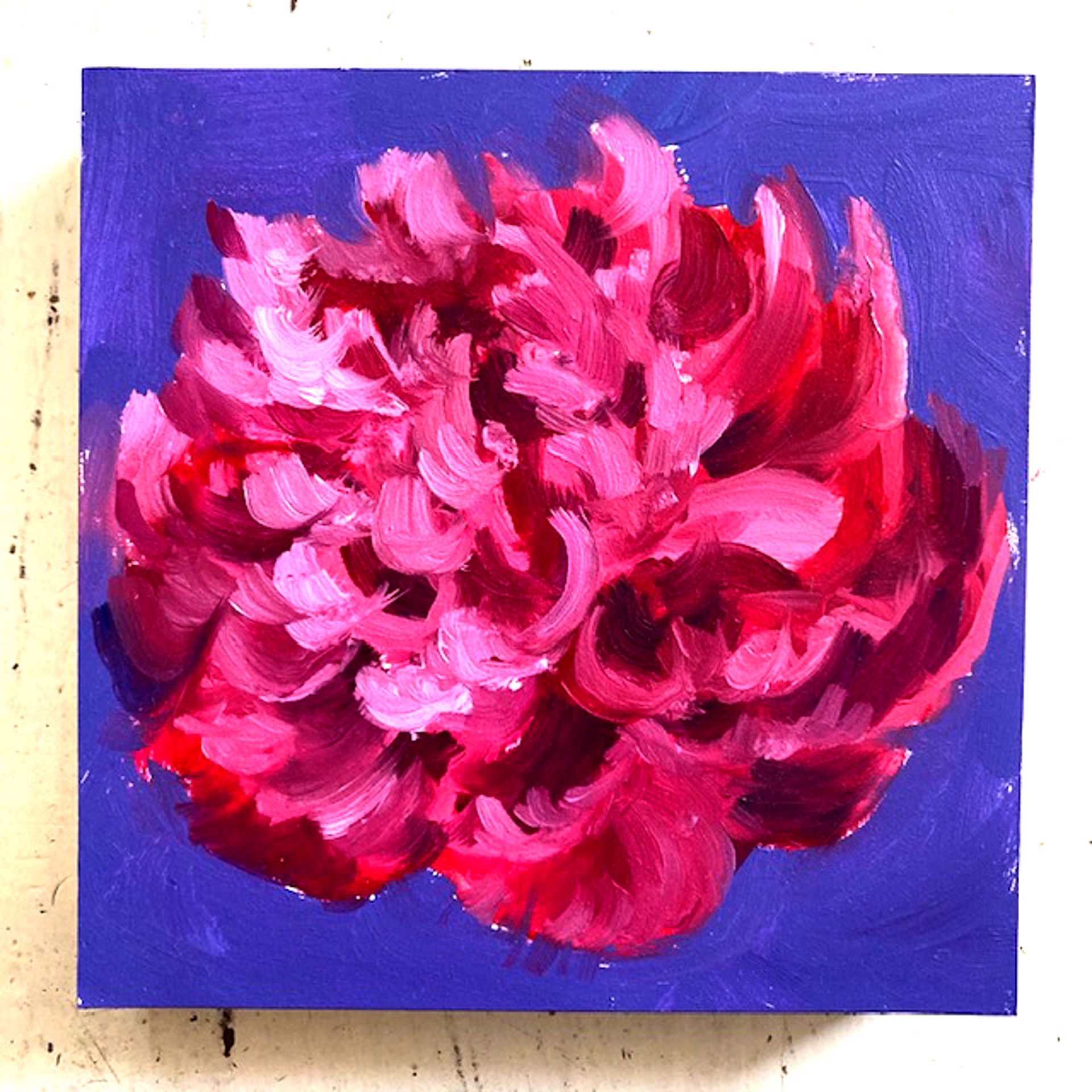 Peony Project #35 by Amy R. Peterson*