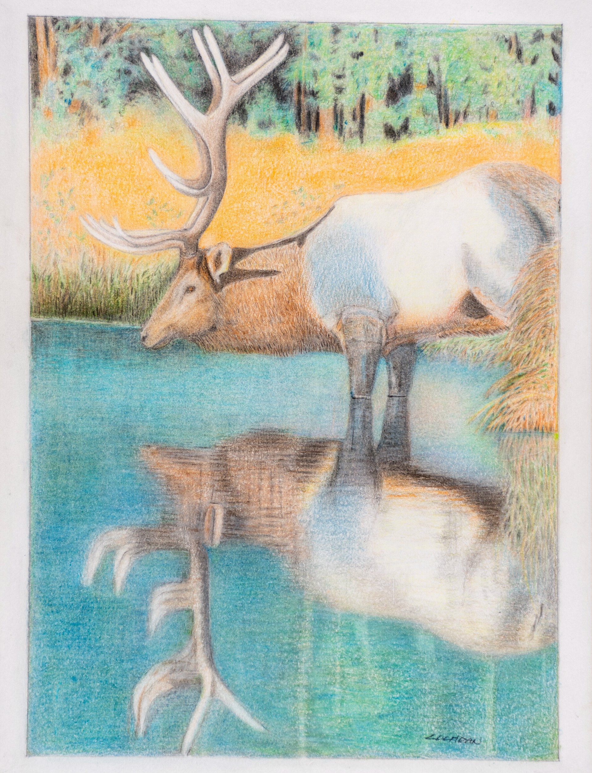 The Reflection by D. Wayne Cochran