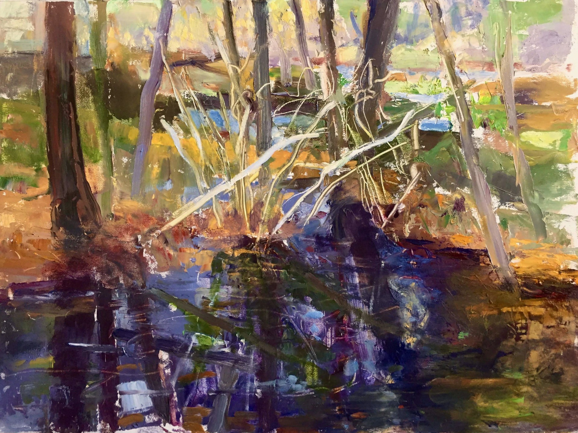Bog (Stream) #2 by Donald Beal
