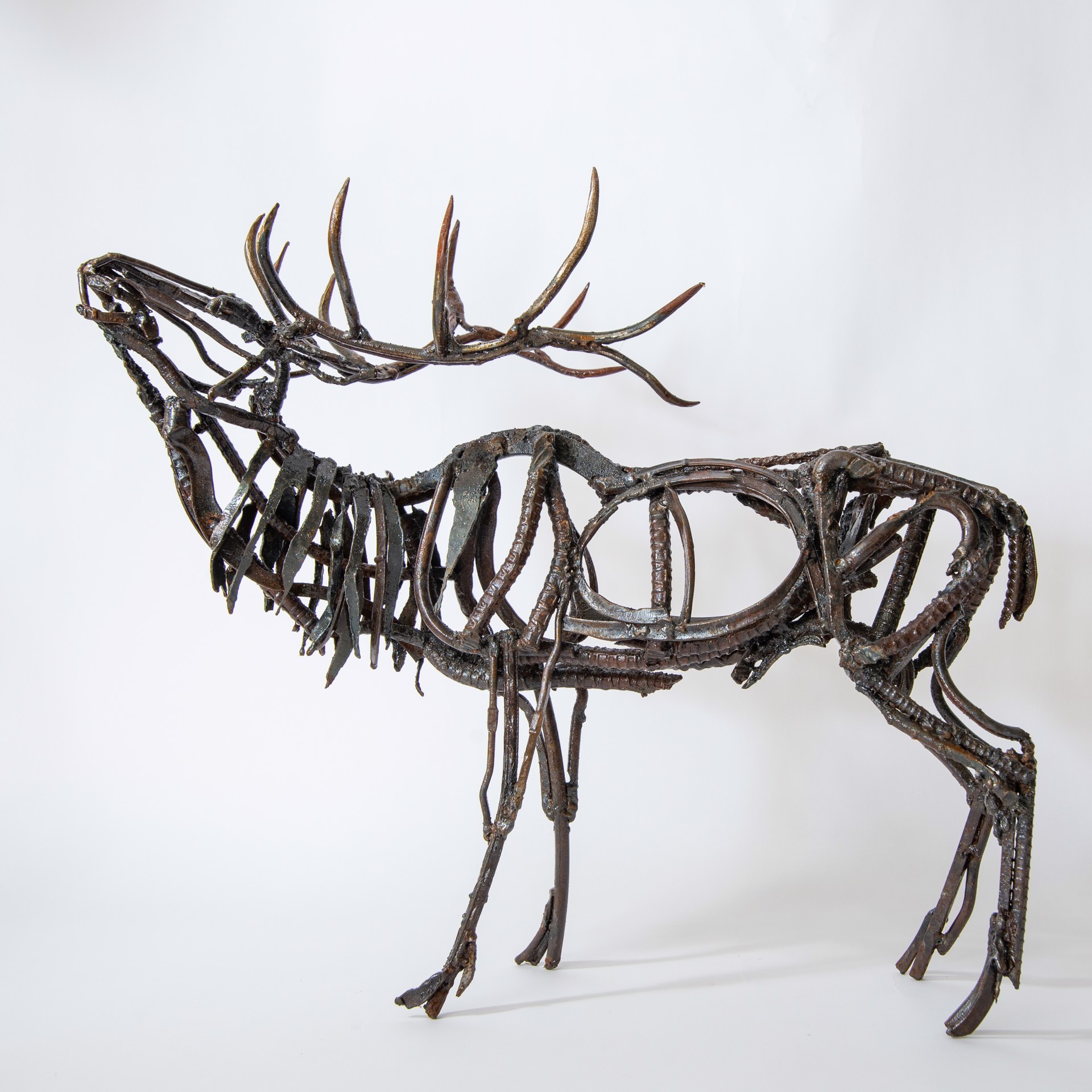 Small Calling Elk by Wendy Klemperer