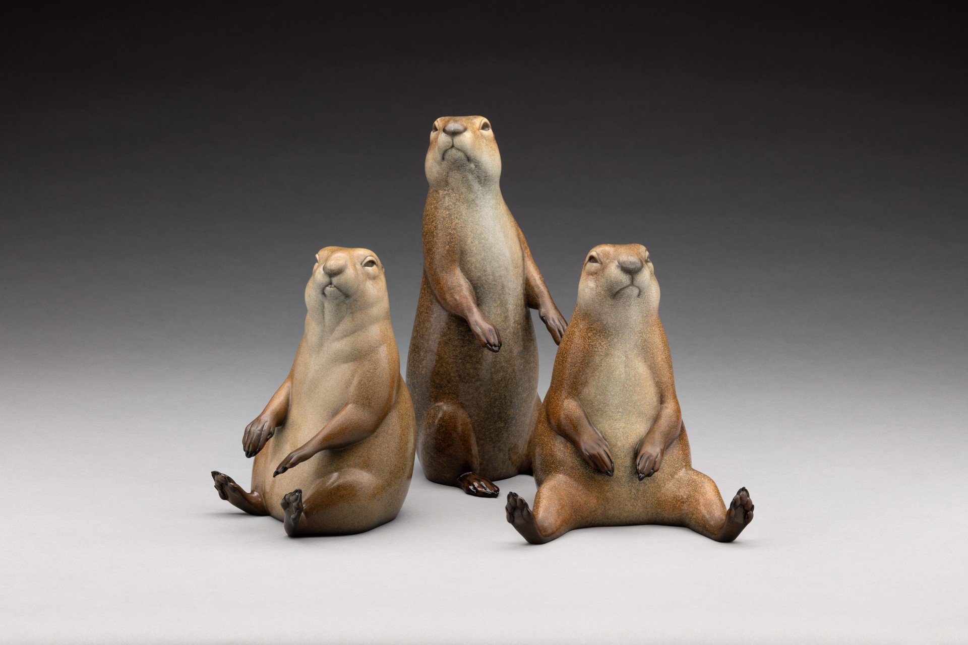 Prairie Dog - Watch Dog by Joshua Tobey
