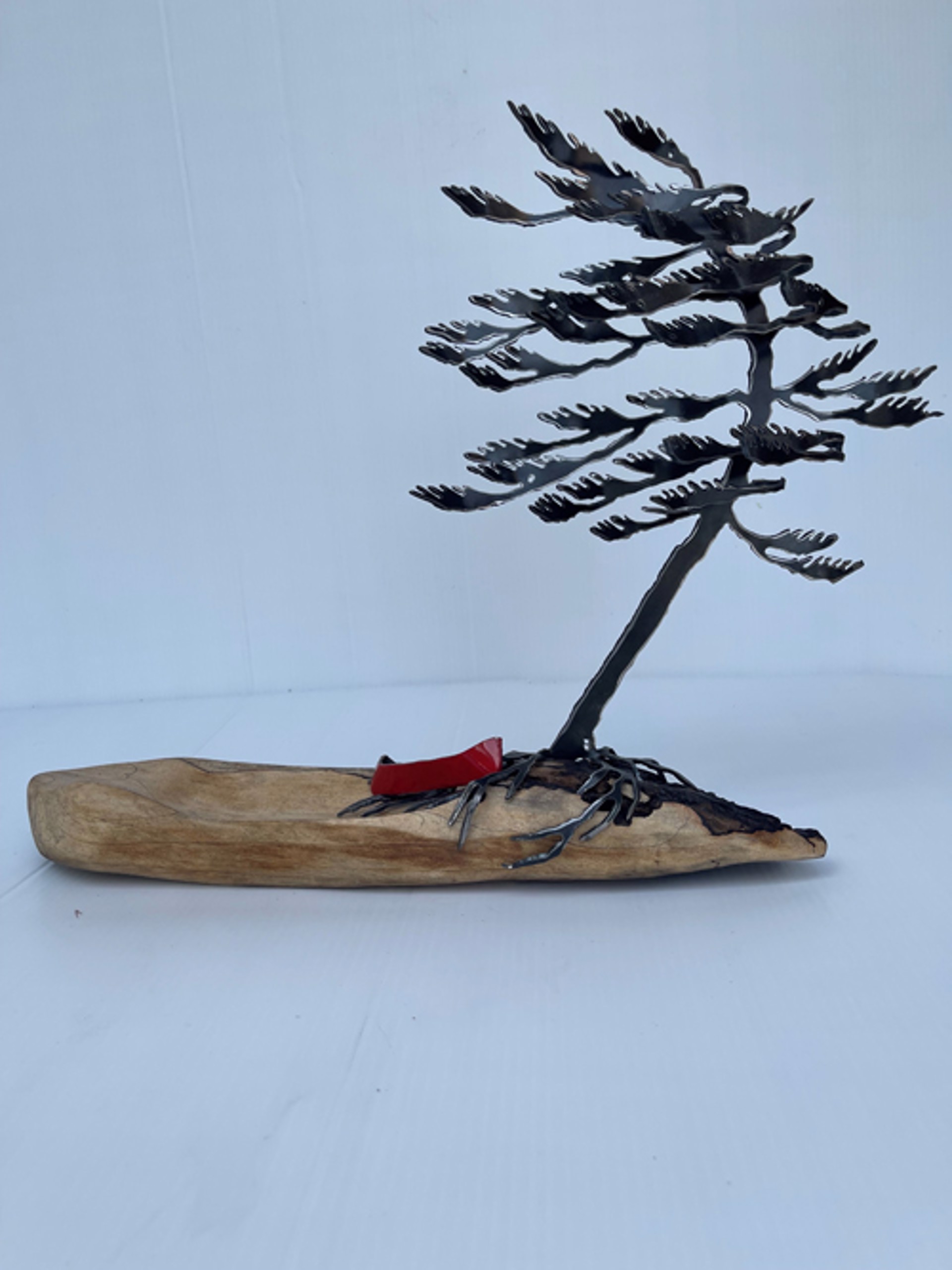 One Tree with Red Canoe on Maple by Cathy Mark