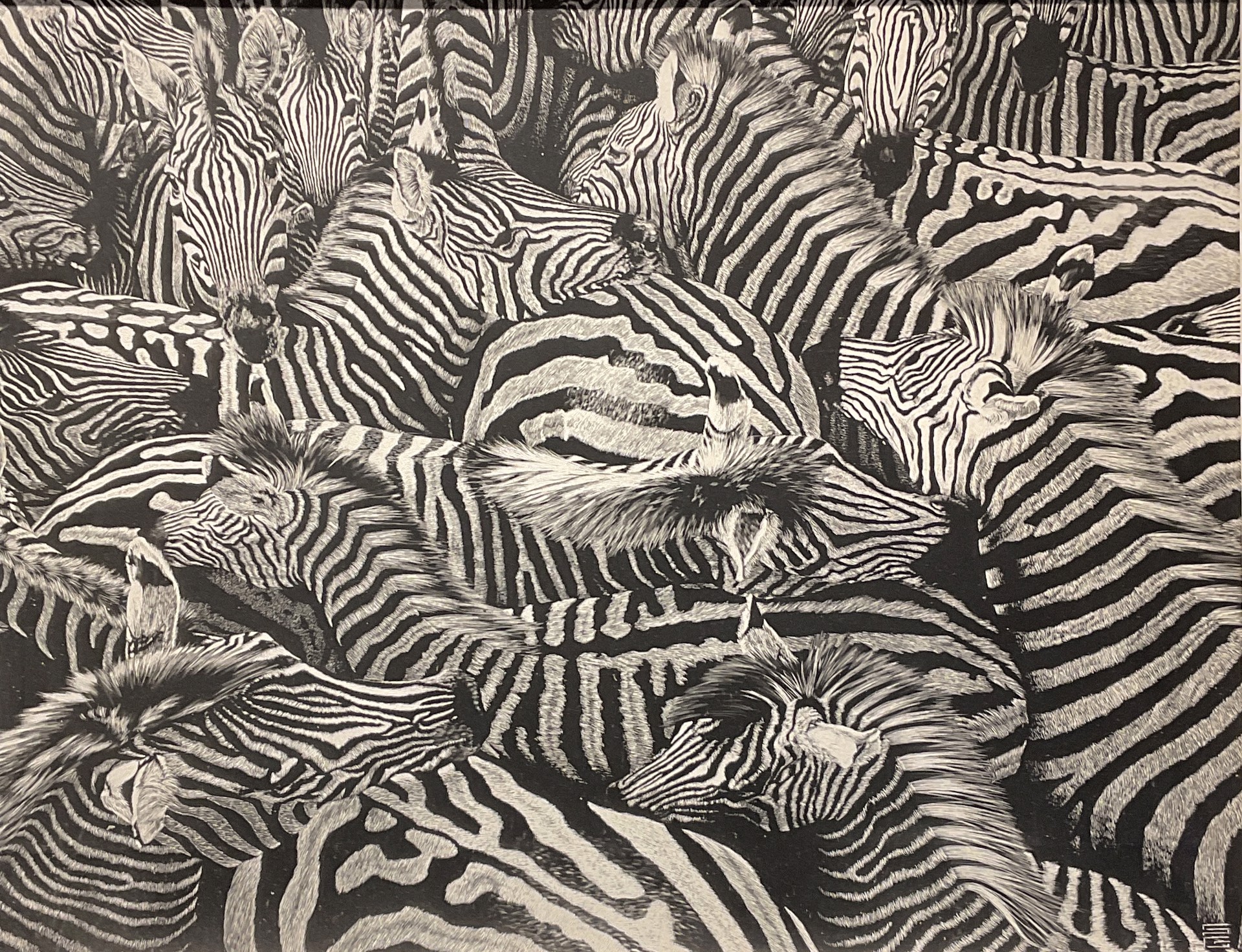 Stripes! by Seth Gordon