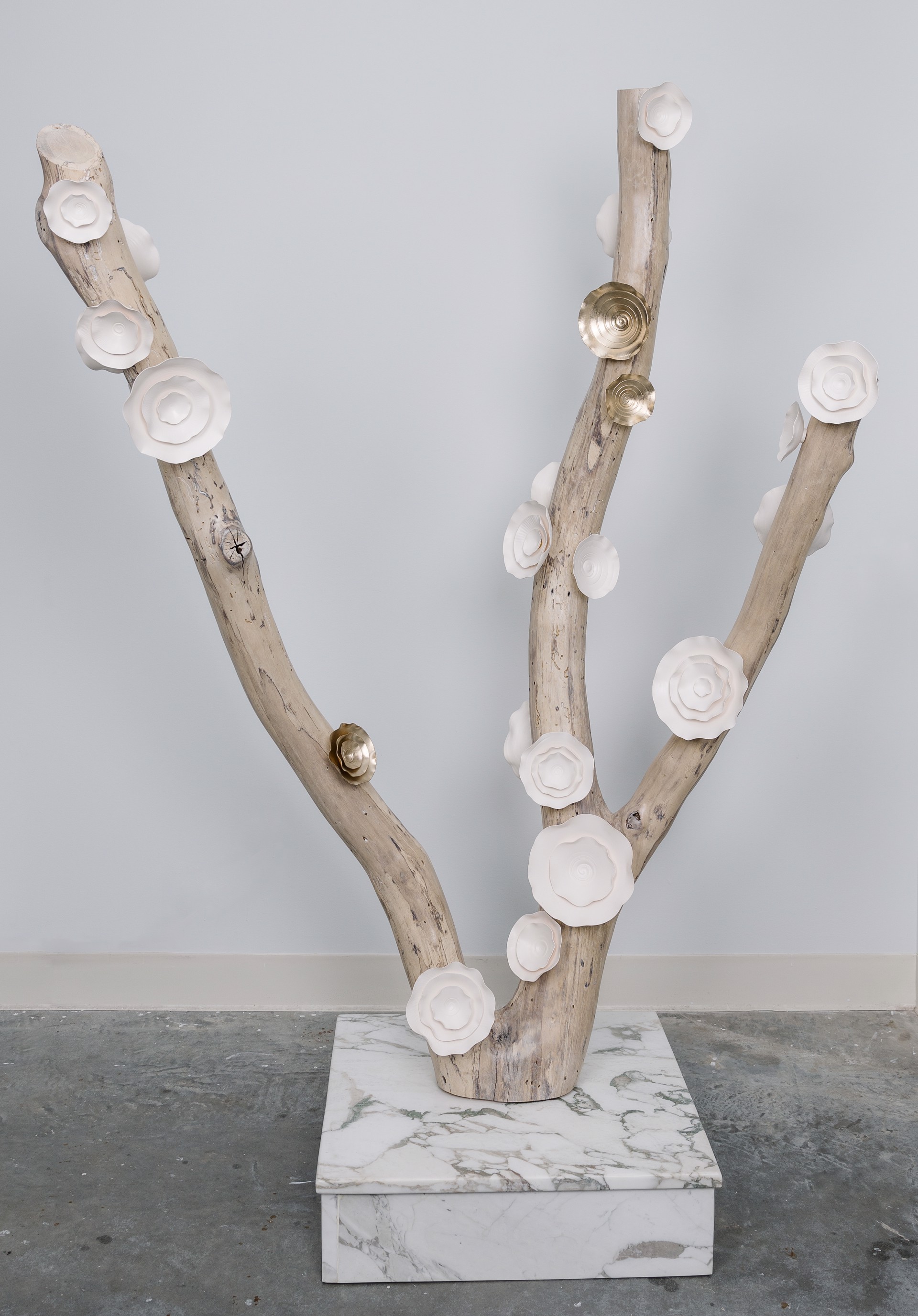 Lucrecia Waggoner Porcelain Wall Installation Custom Artwork -  Lucrecia Waggoner Winter Blooms, 2022 Polished porcelain & moongold leaf on reclaimed tree branch with marble base