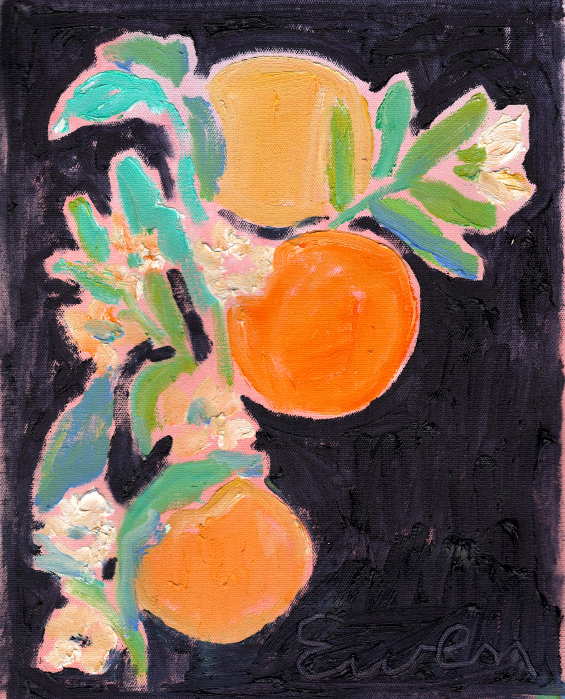 Citrus Blossom 4 by Anne-Louise Ewen