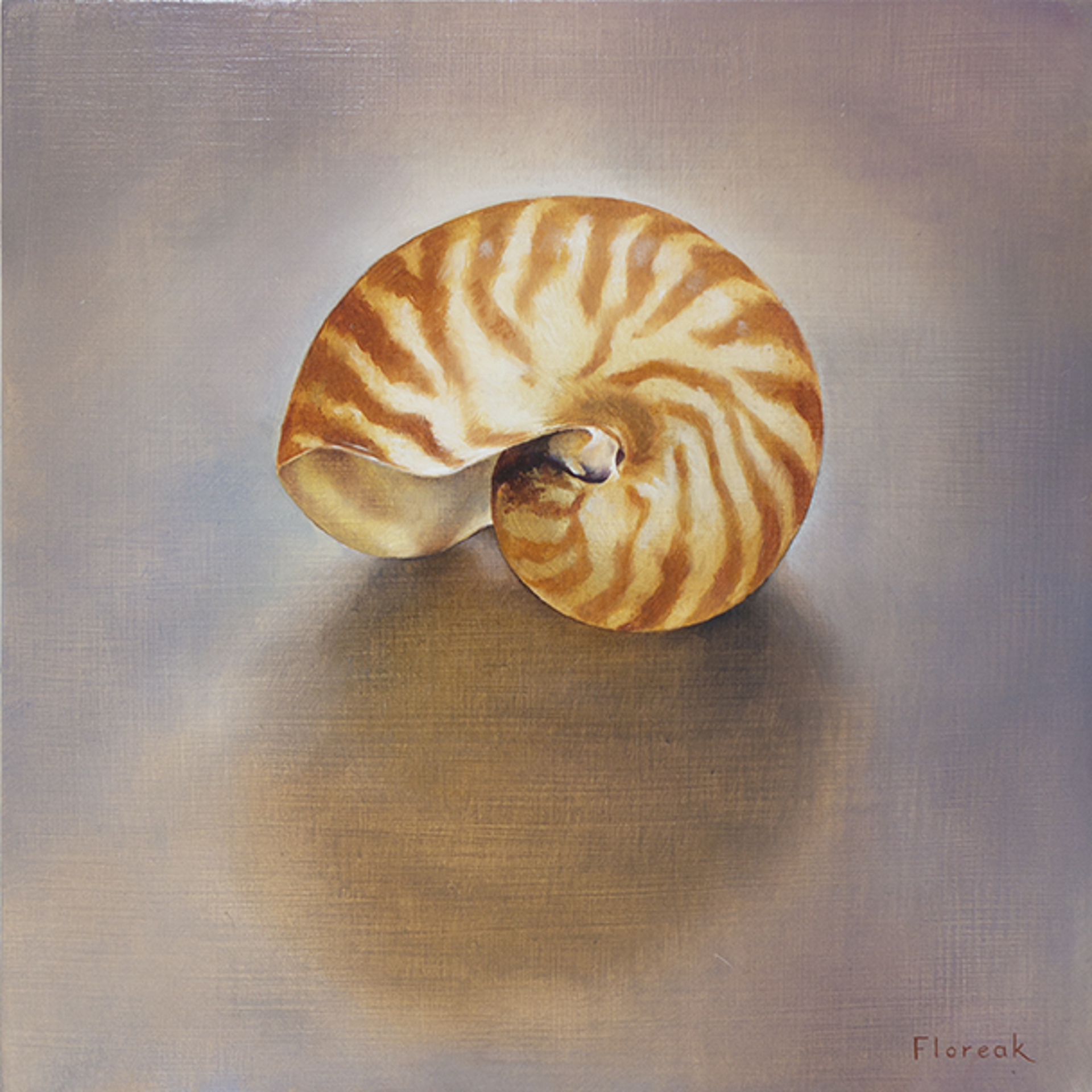 Nautilus by Ida Floreak