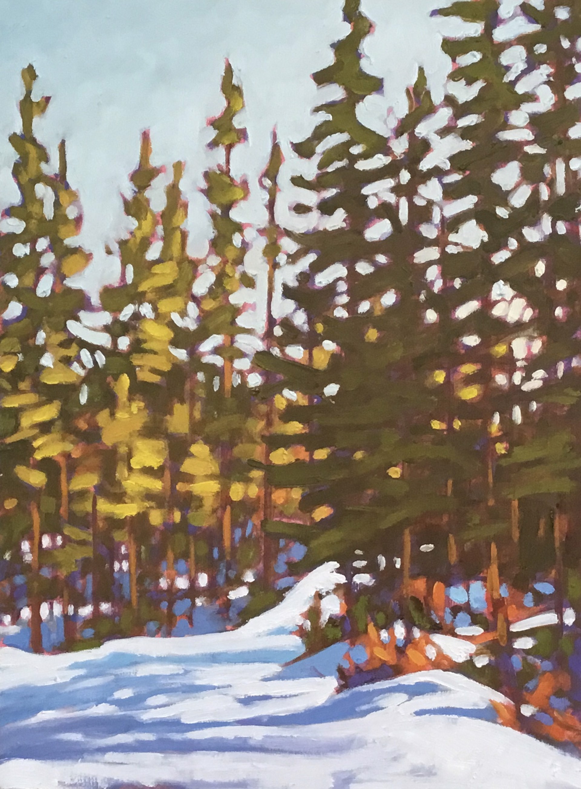Winter Woods by John Lennard