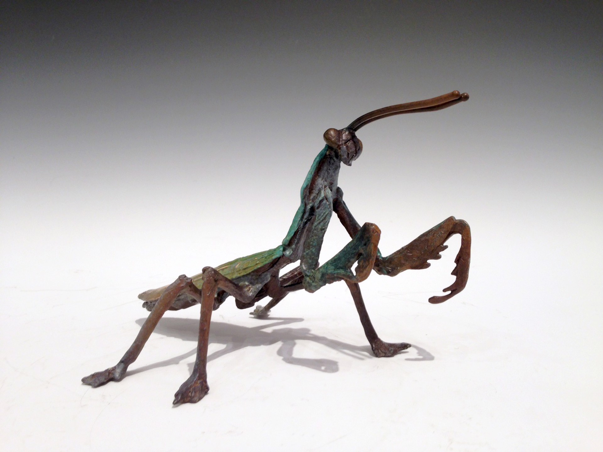 Praying Mantis by Dan Chen