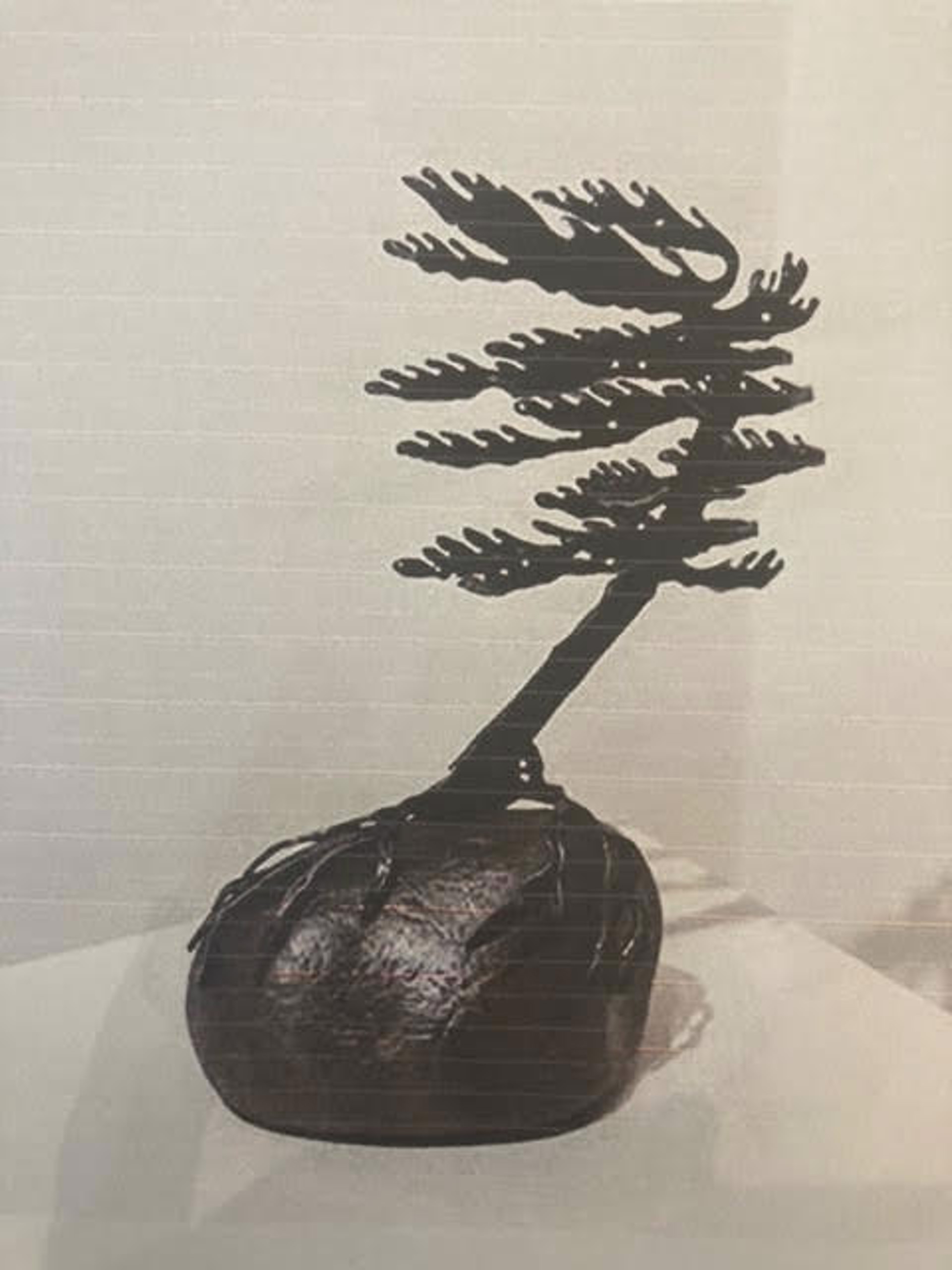 Windswept Pine, 189965 by Cathy Mark