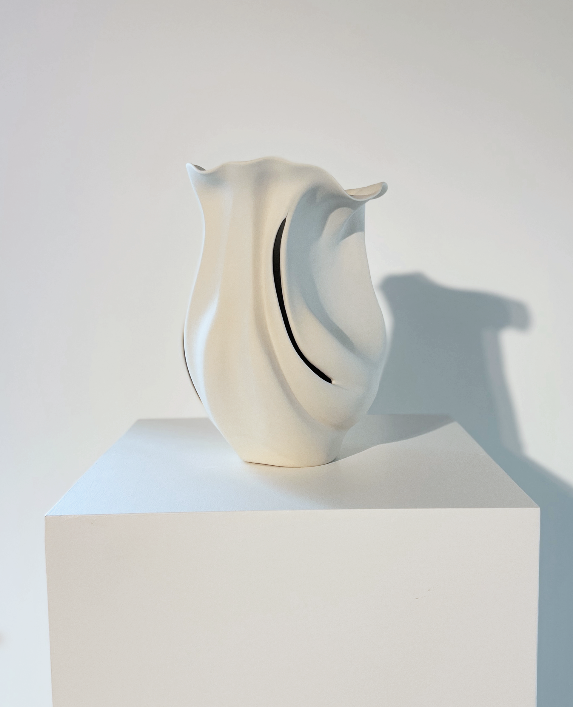 PV 4 by David LaLomia