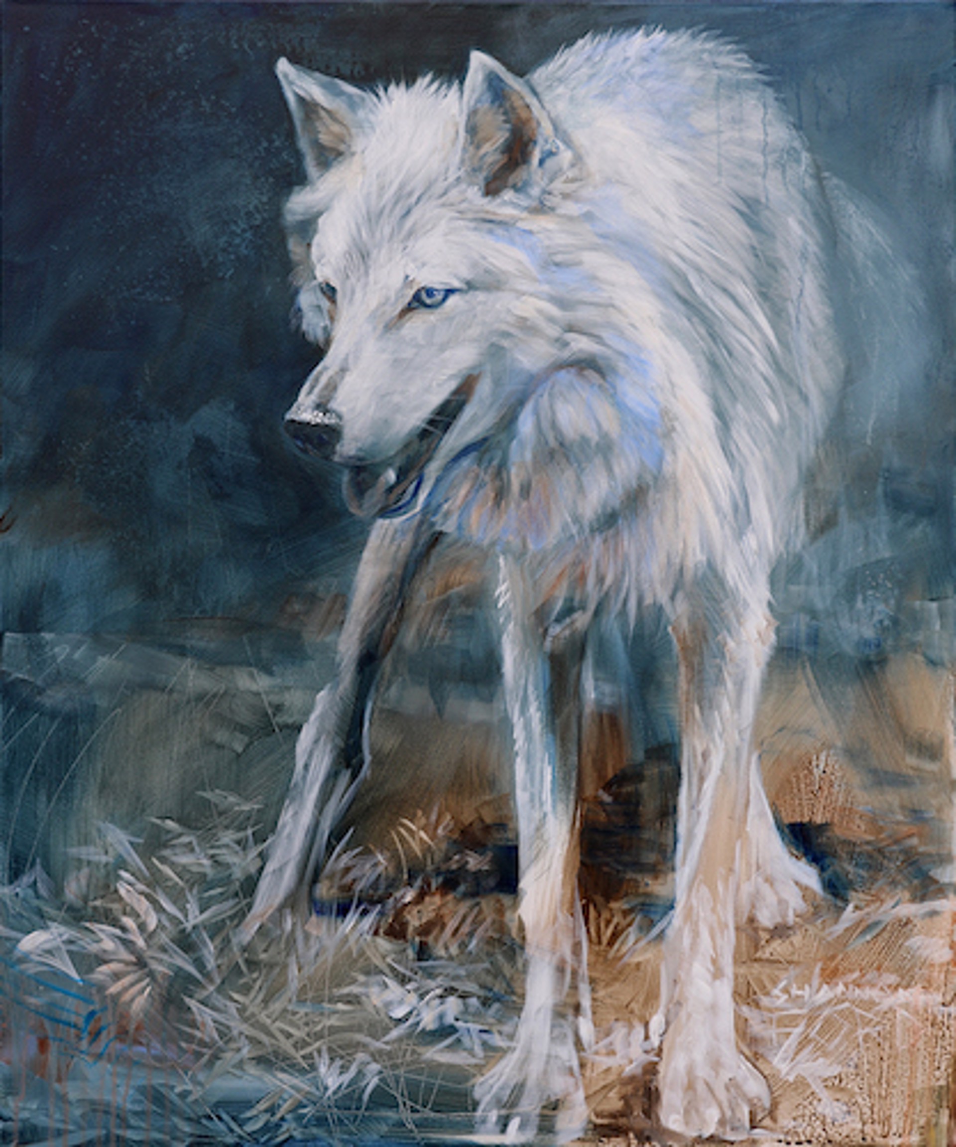 Wolf Play by Shannon Ford