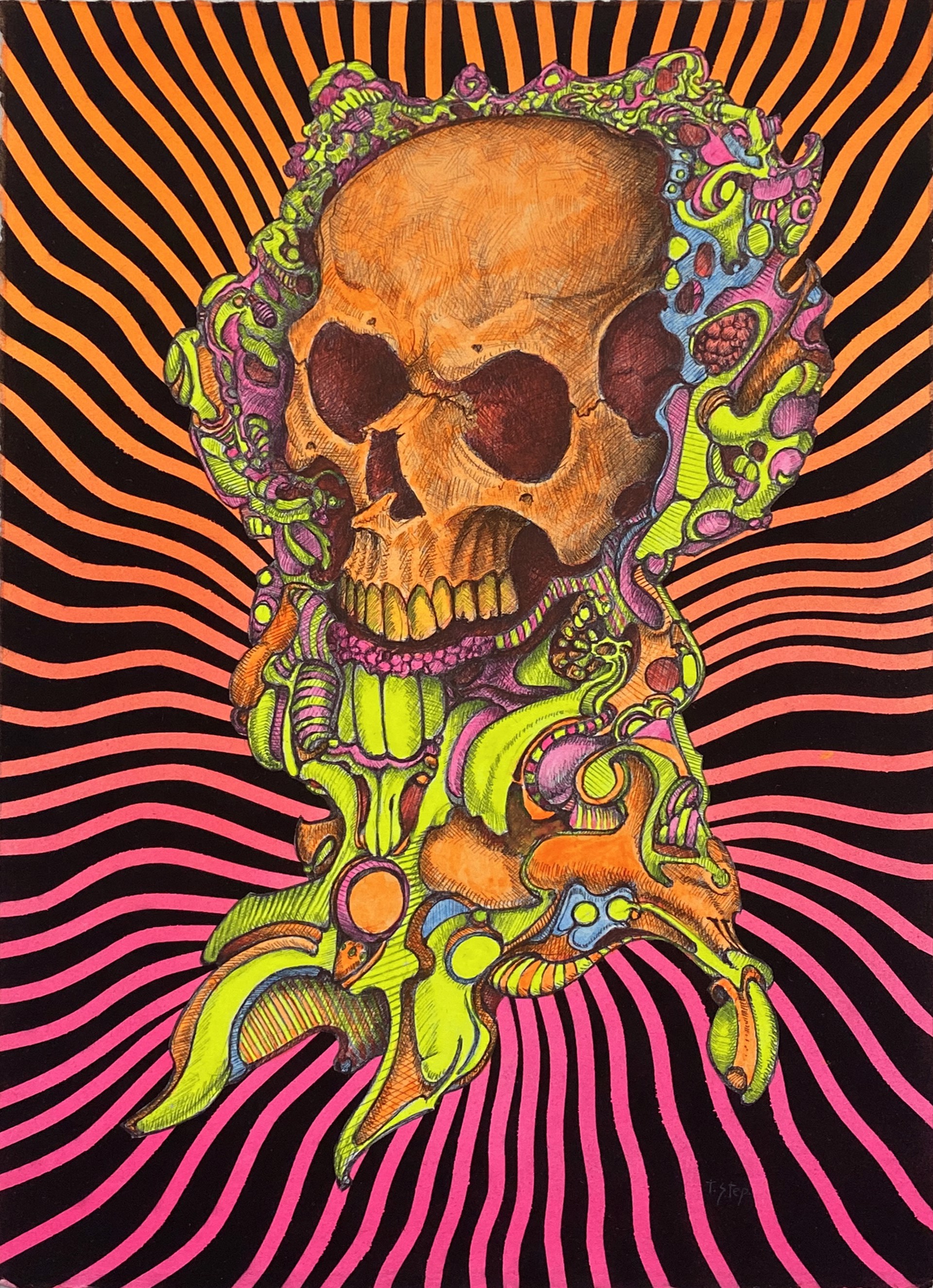 Skull Study #1 by Tom Stephenson