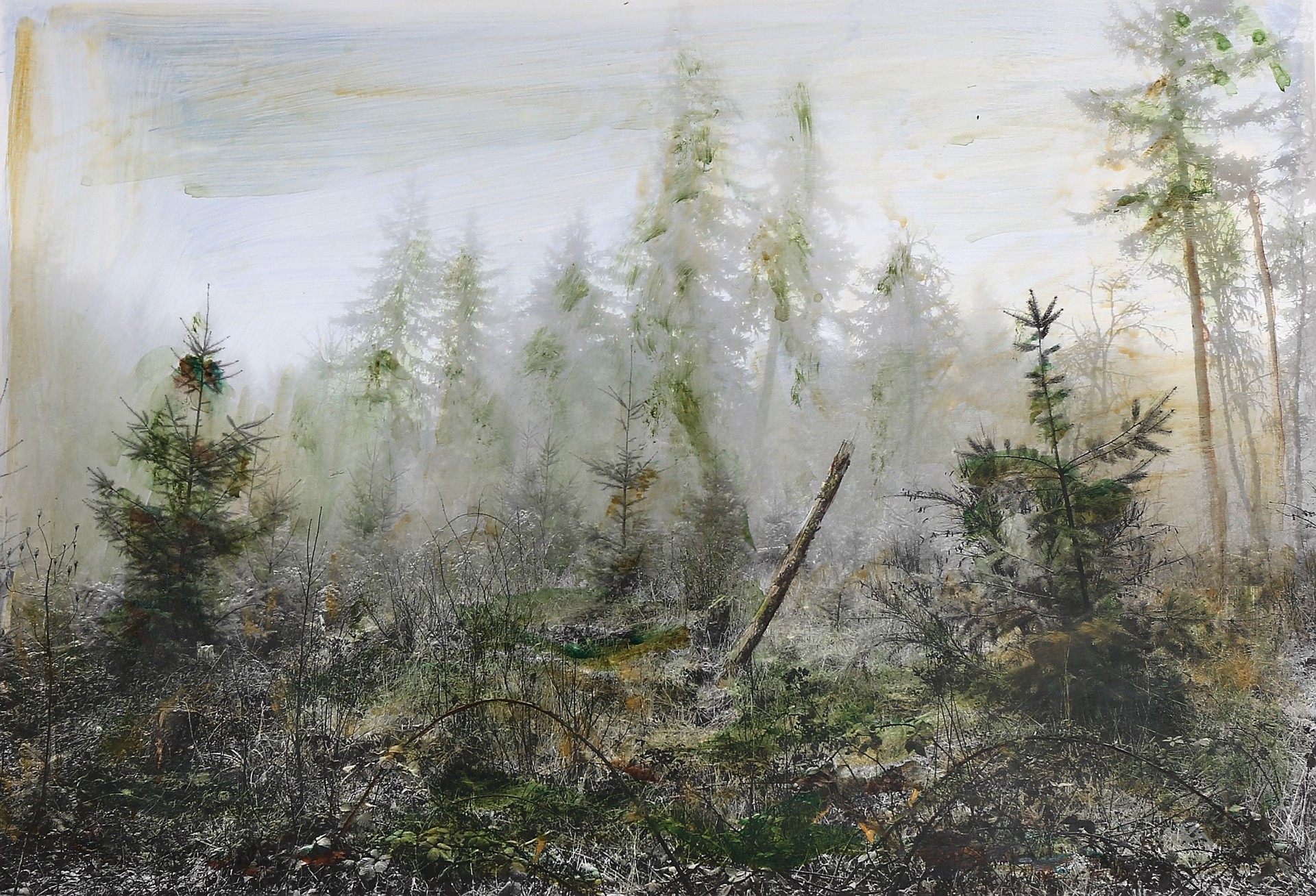Clearcut In The Fog | Bob Keefer by Jackson Hole Art Invitational x