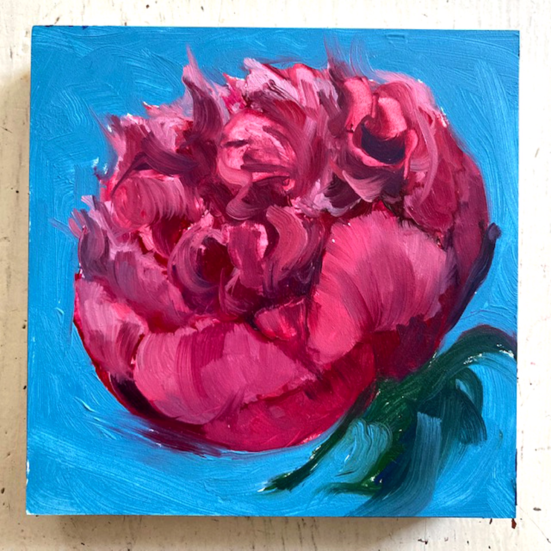 Peony Project #45 by Amy R. Peterson*