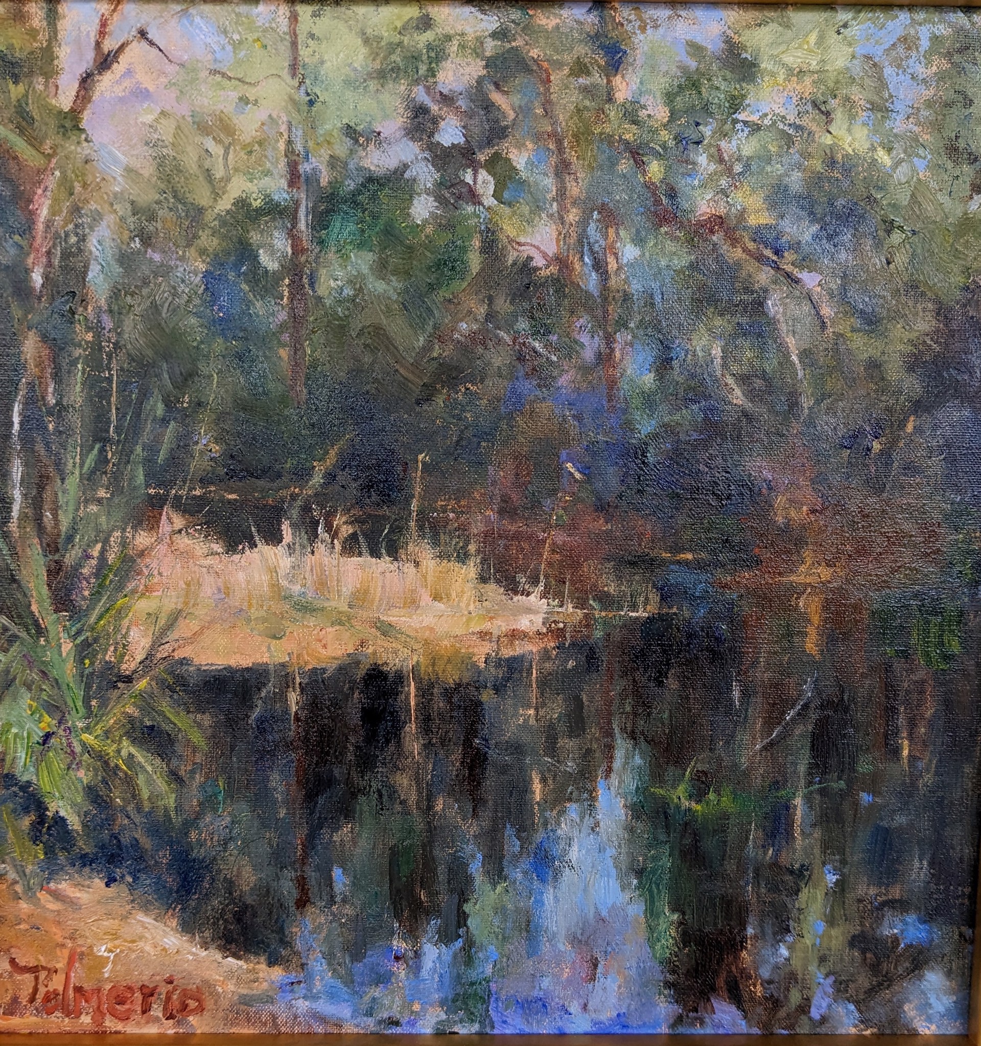 Quiet Reeds Sand Lake by Joe Palmerio
