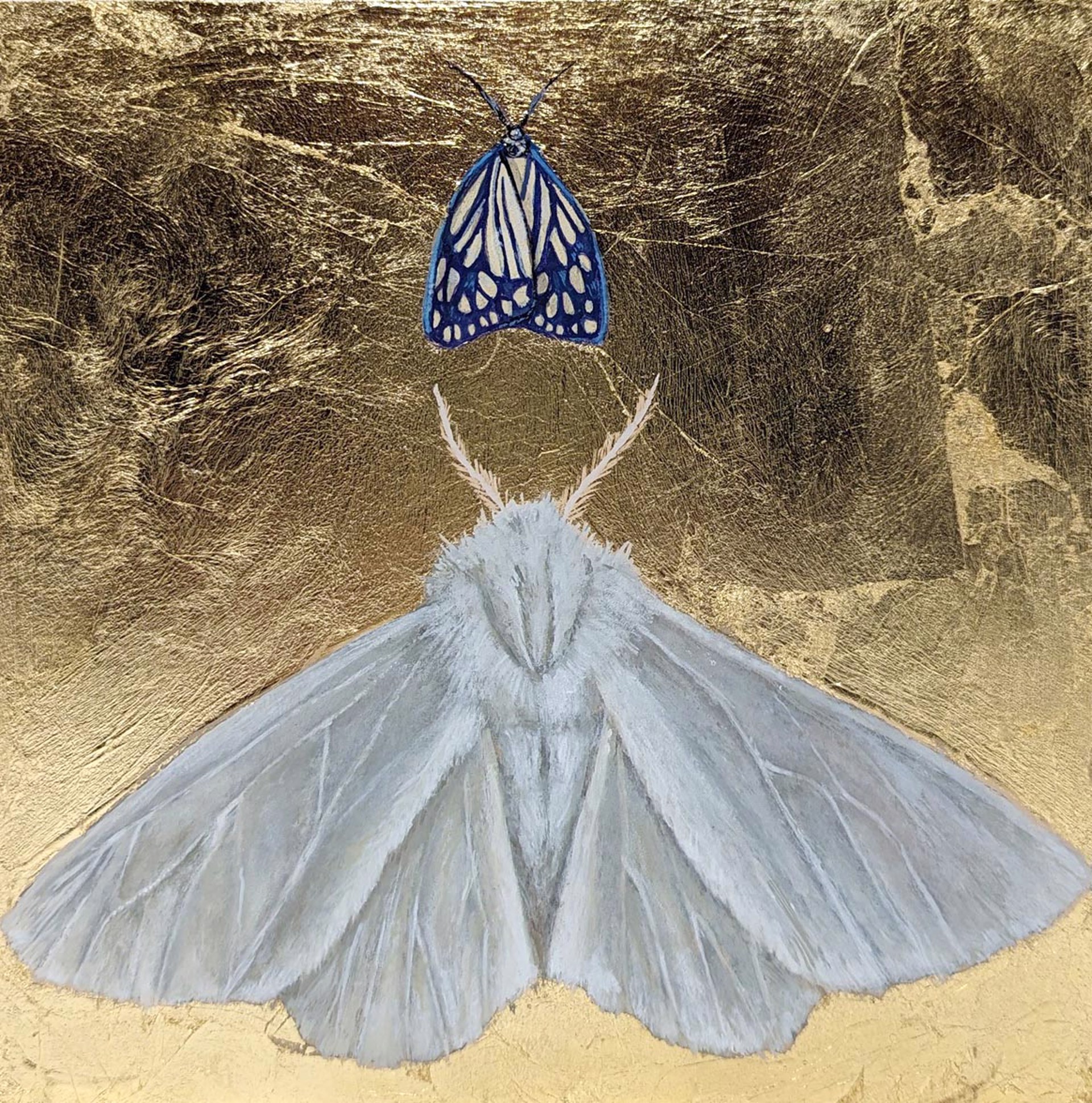 Double Moths by Megan Buccere