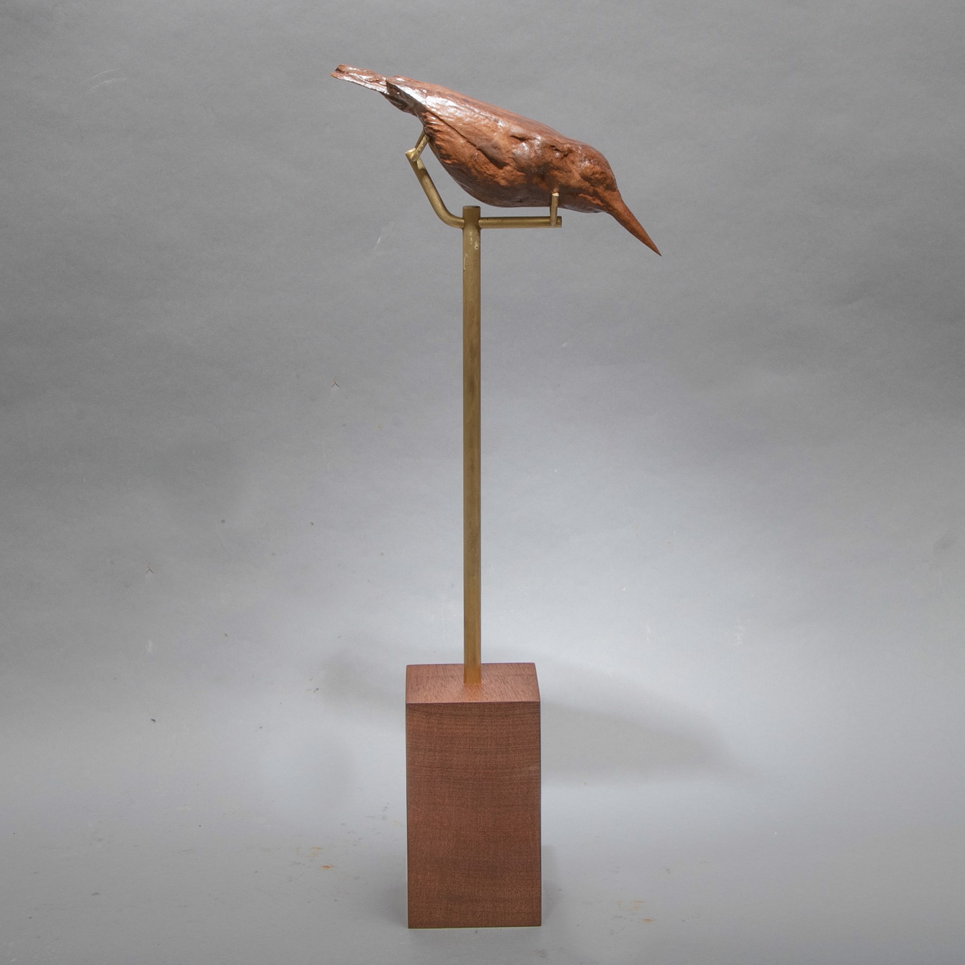 SOLD, Specimen #17 - Kingfisher (2) in walnut by Dana Younger
